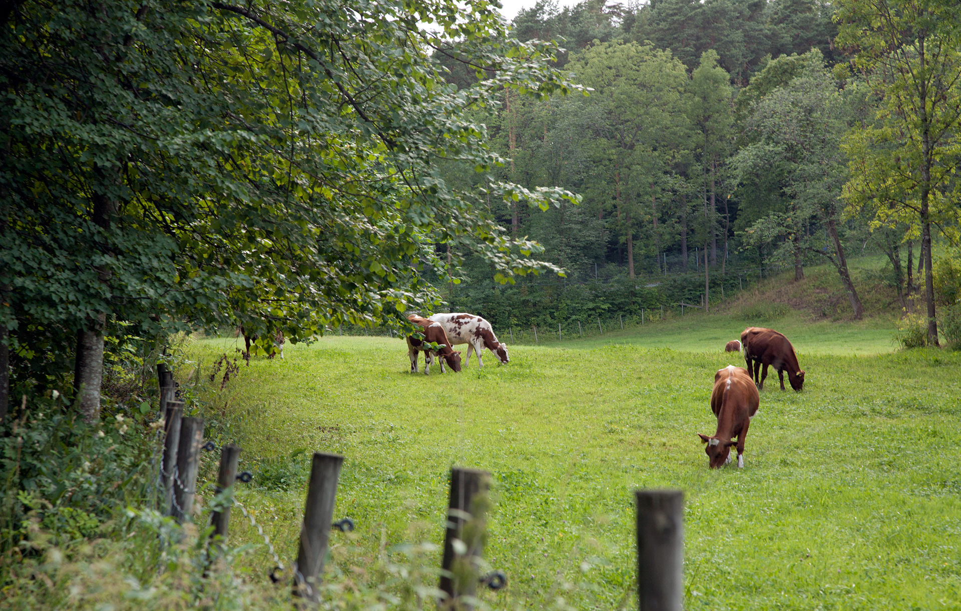 MARIANNE RAFTER IS A FASHION, PORTRAIT AND LIFESTYLE PHOTOGRAPHER BASED IN NEW YORK oslo