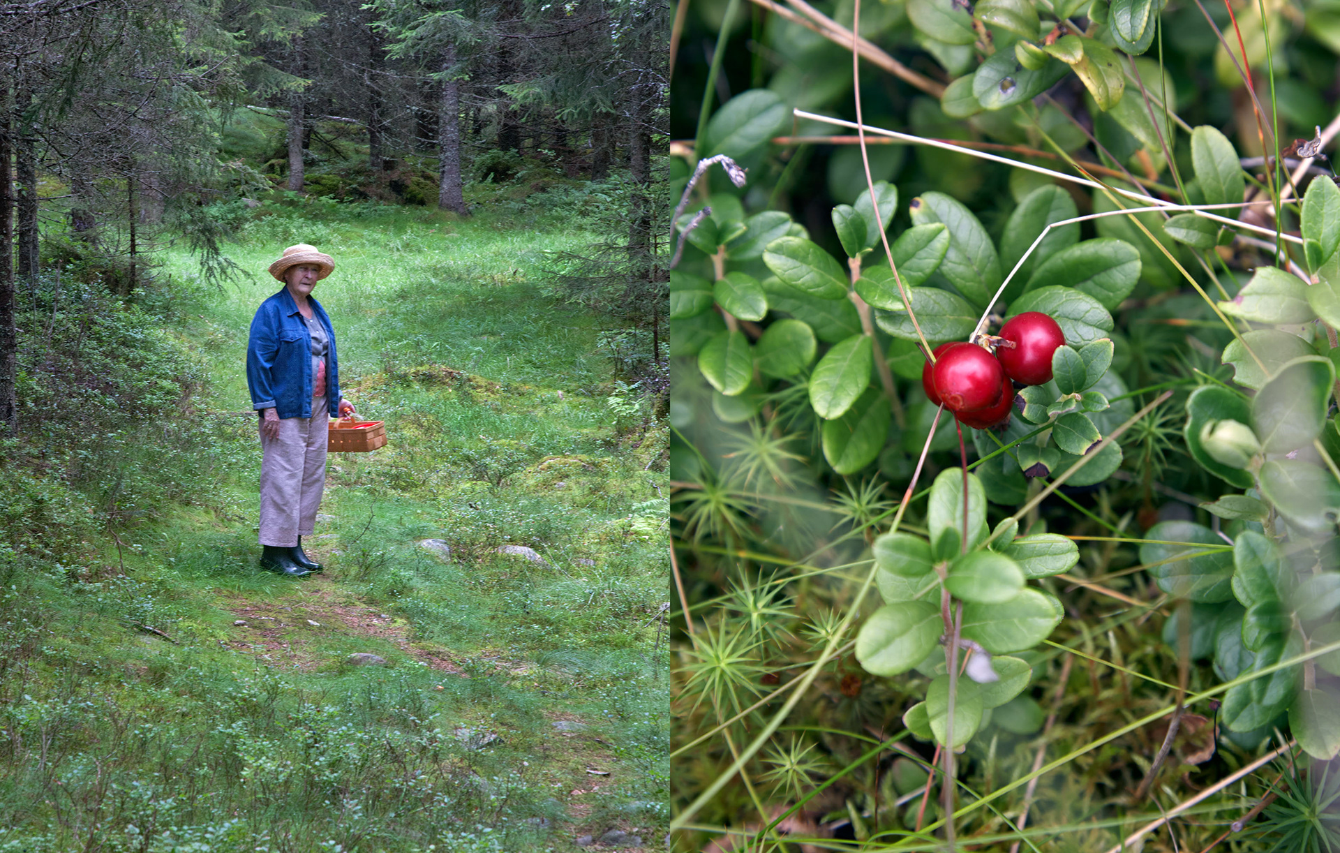 MARIANNE RAFTER IS A FASHION, PORTRAIT AND LIFESTYLE PHOTOGRAPHER BASED IN NEW YORK