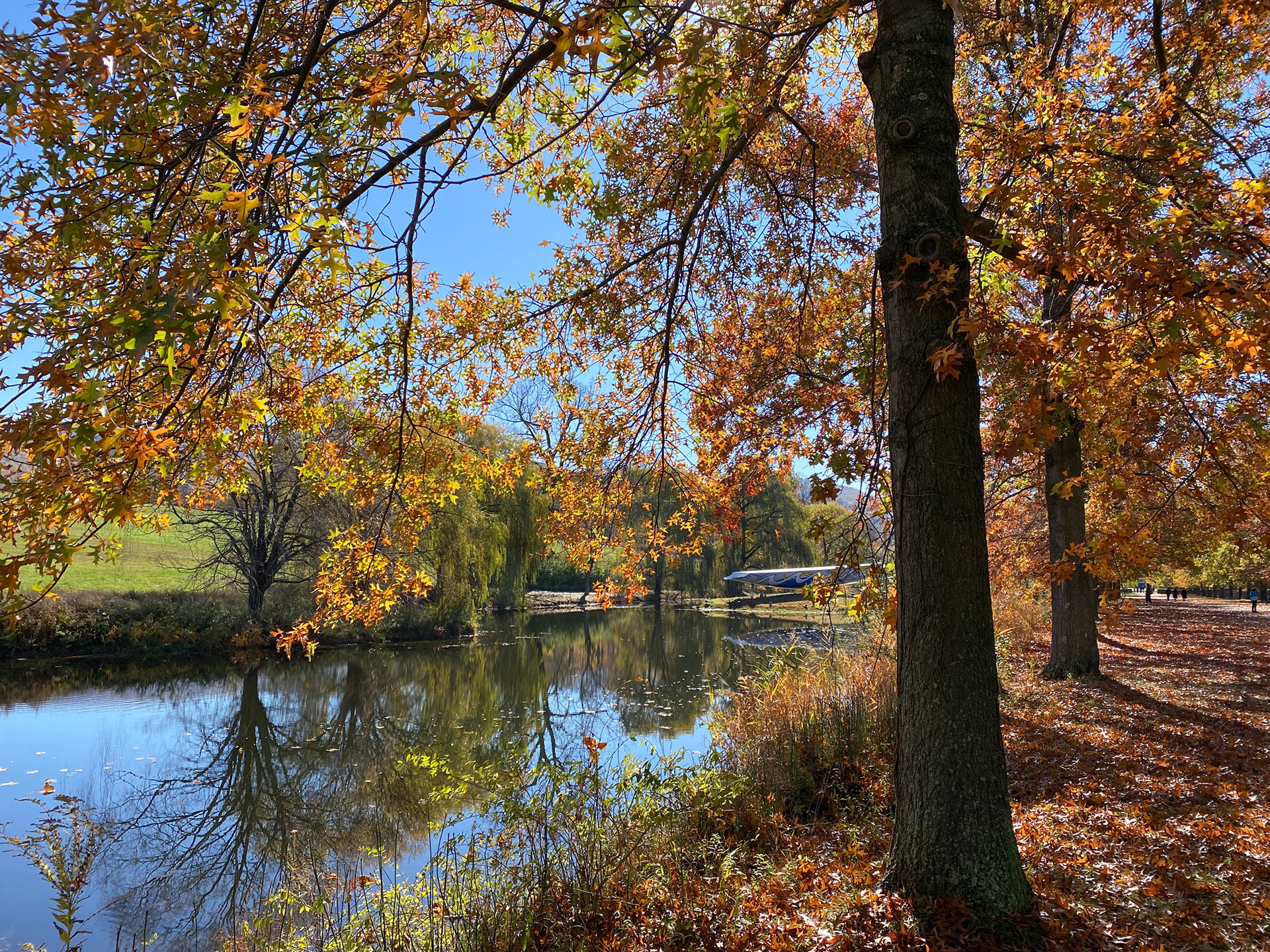 RAFTER IS A PORTRAIT LIFESTYLE PHOTOGRAPHER / DIRECTOR NEW YORK / OSLO