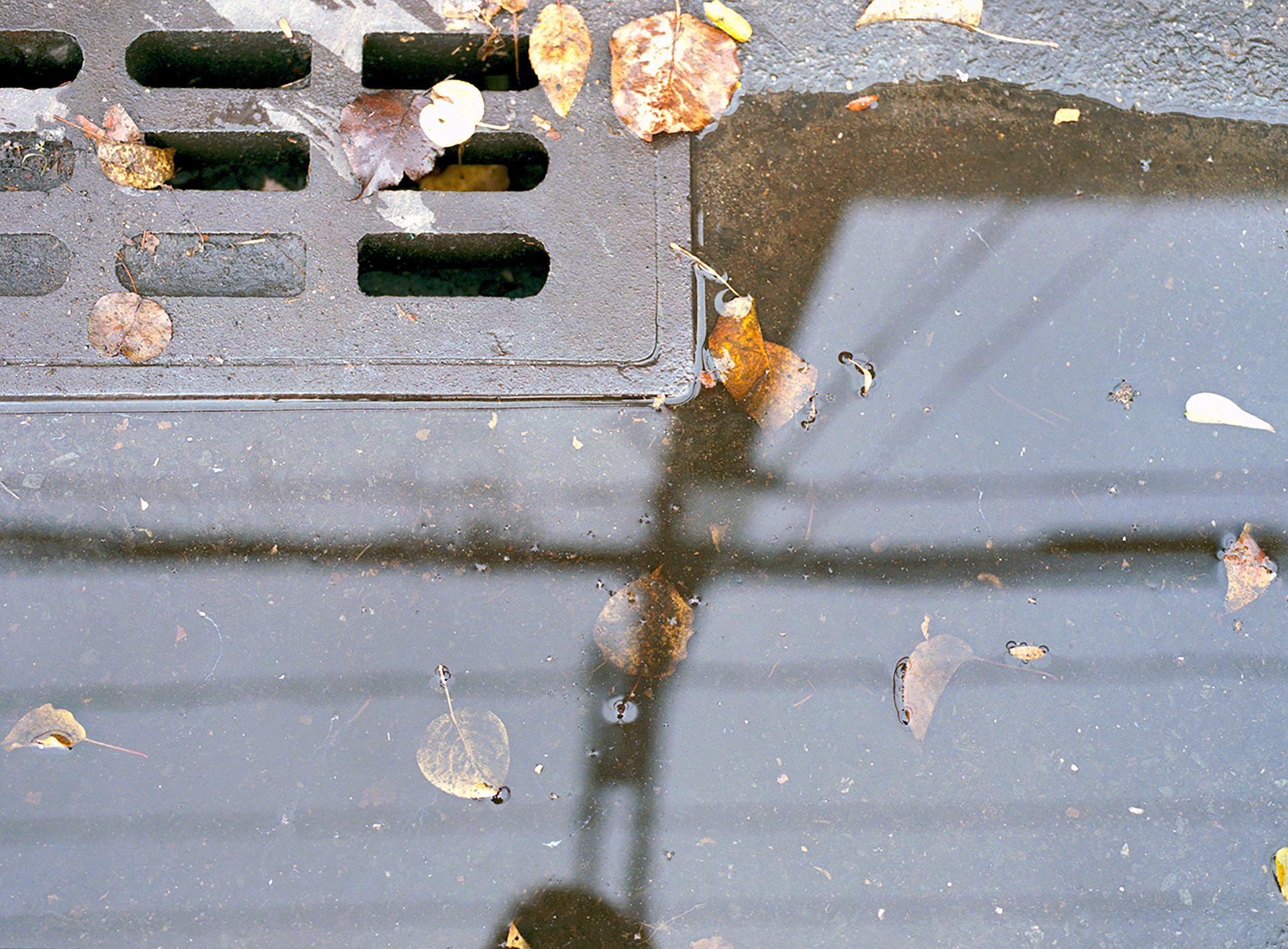 RAFTER IS A PORTRAIT LIFESTYLE PHOTOGRAPHER / DIRECTOR NEW YORK / OSLO