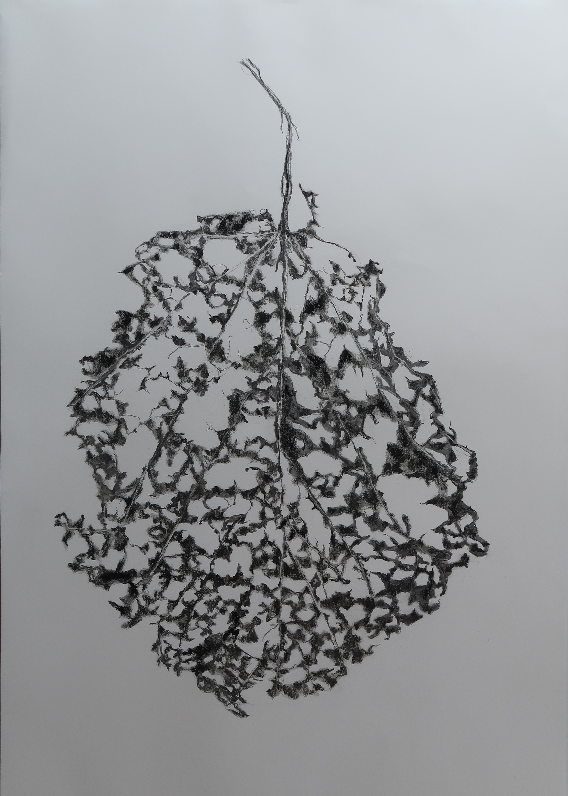 Overgave nr 25