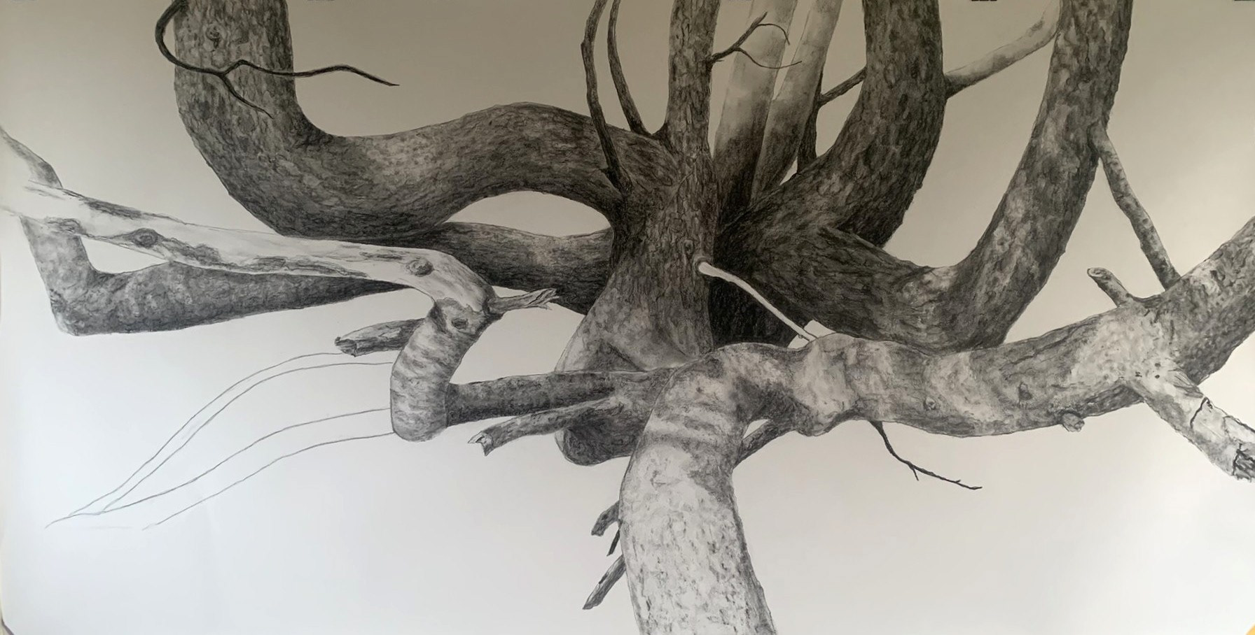Pad van Dertig Charcoal on paper 255x130 cm 