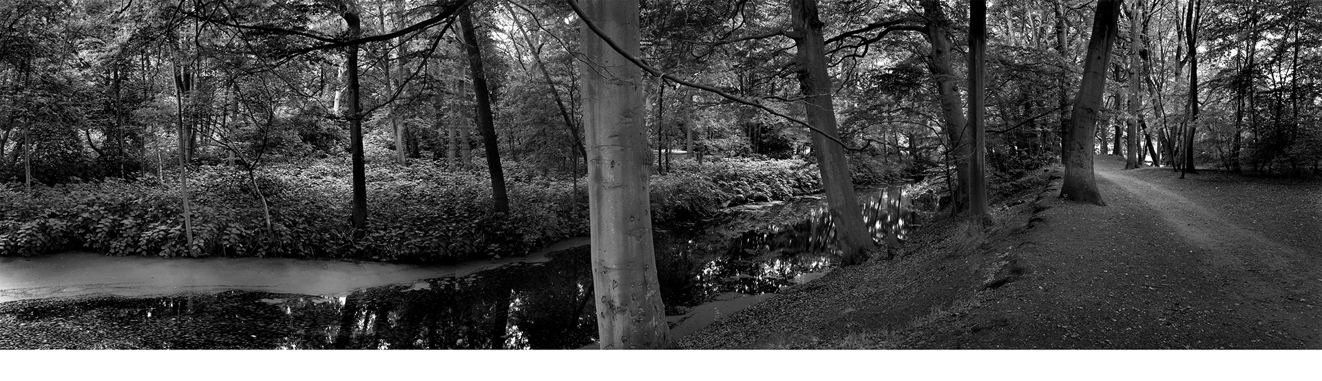 Den Haag, Nourth Holland, Netherlands