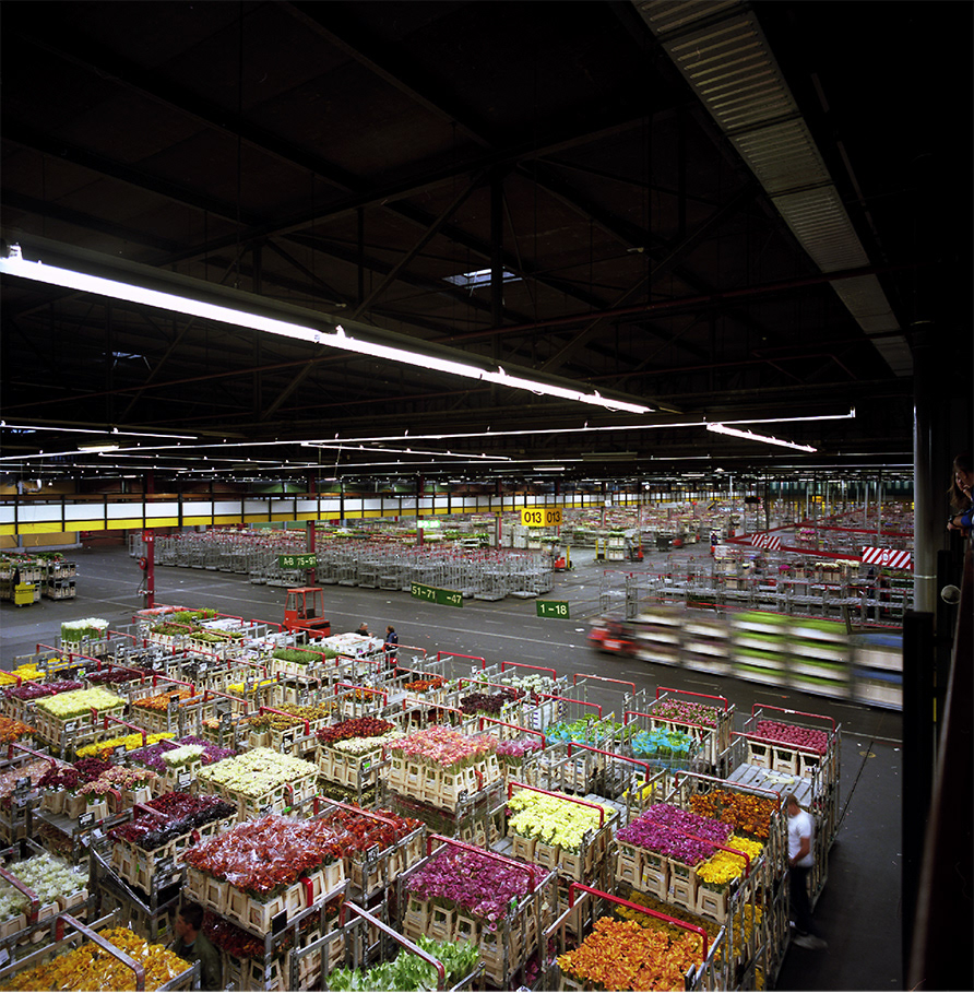 Aalsmeer 2009