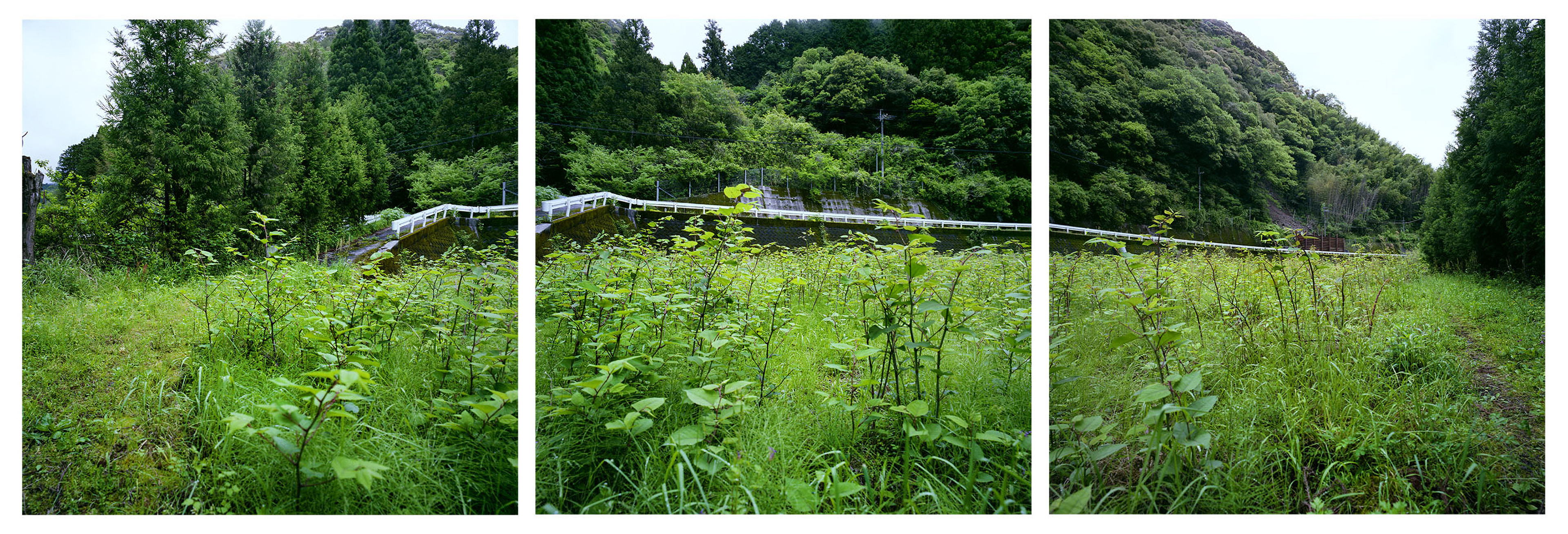 2019 Kochi, Japan, "Itadori Nursery"