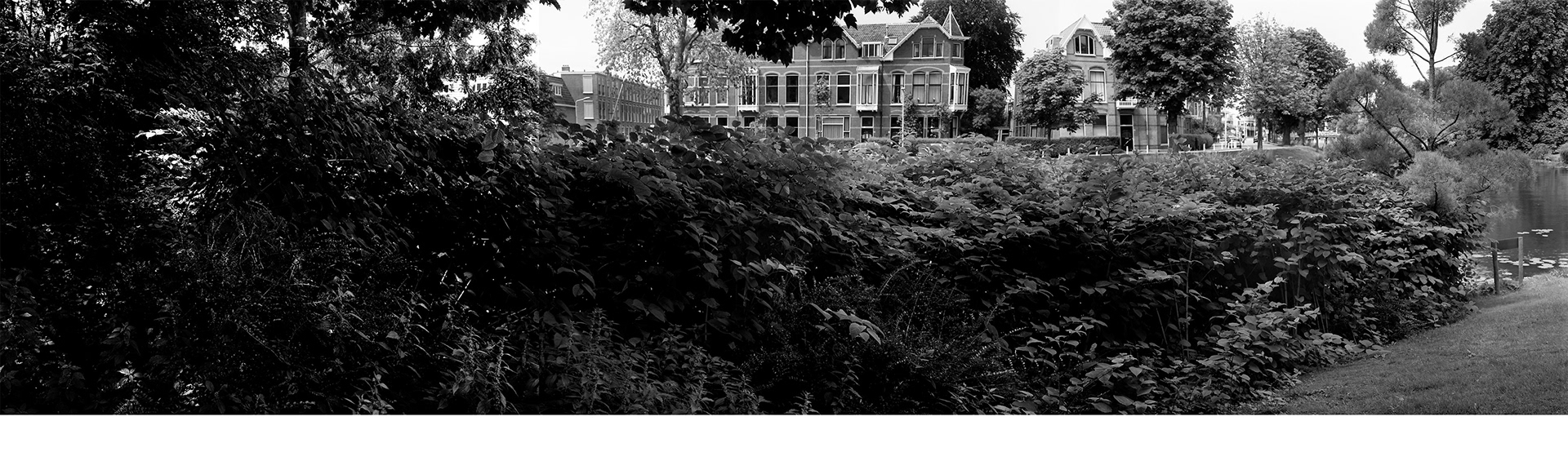 Leiden, South Holland, the Netherlands