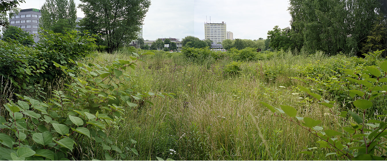 Katowice, Poland 2011