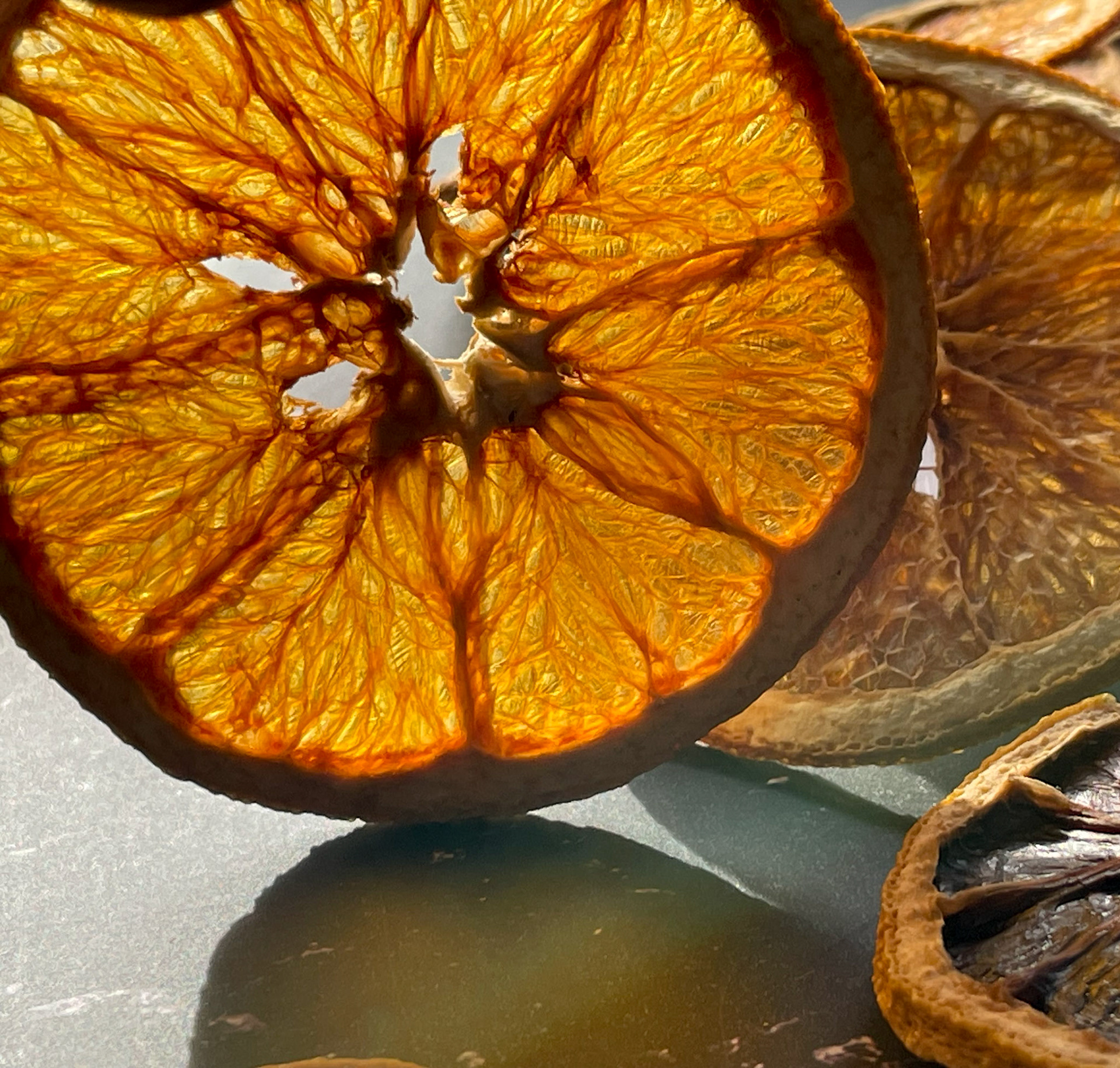 portfolio of food photographer Culinart Photography by Carmen DMV MD dried oranges close up