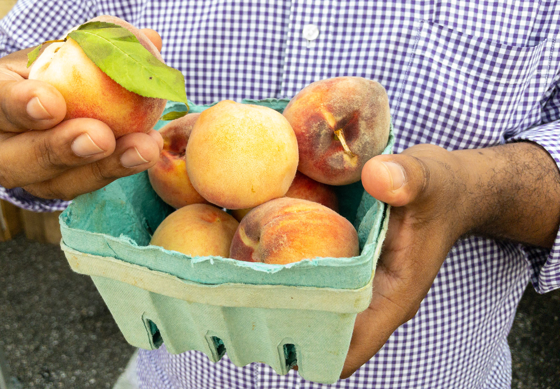 portfolio of food photographer Culinart Photography by Carmen DMV MD summer peaches held by male chef hands