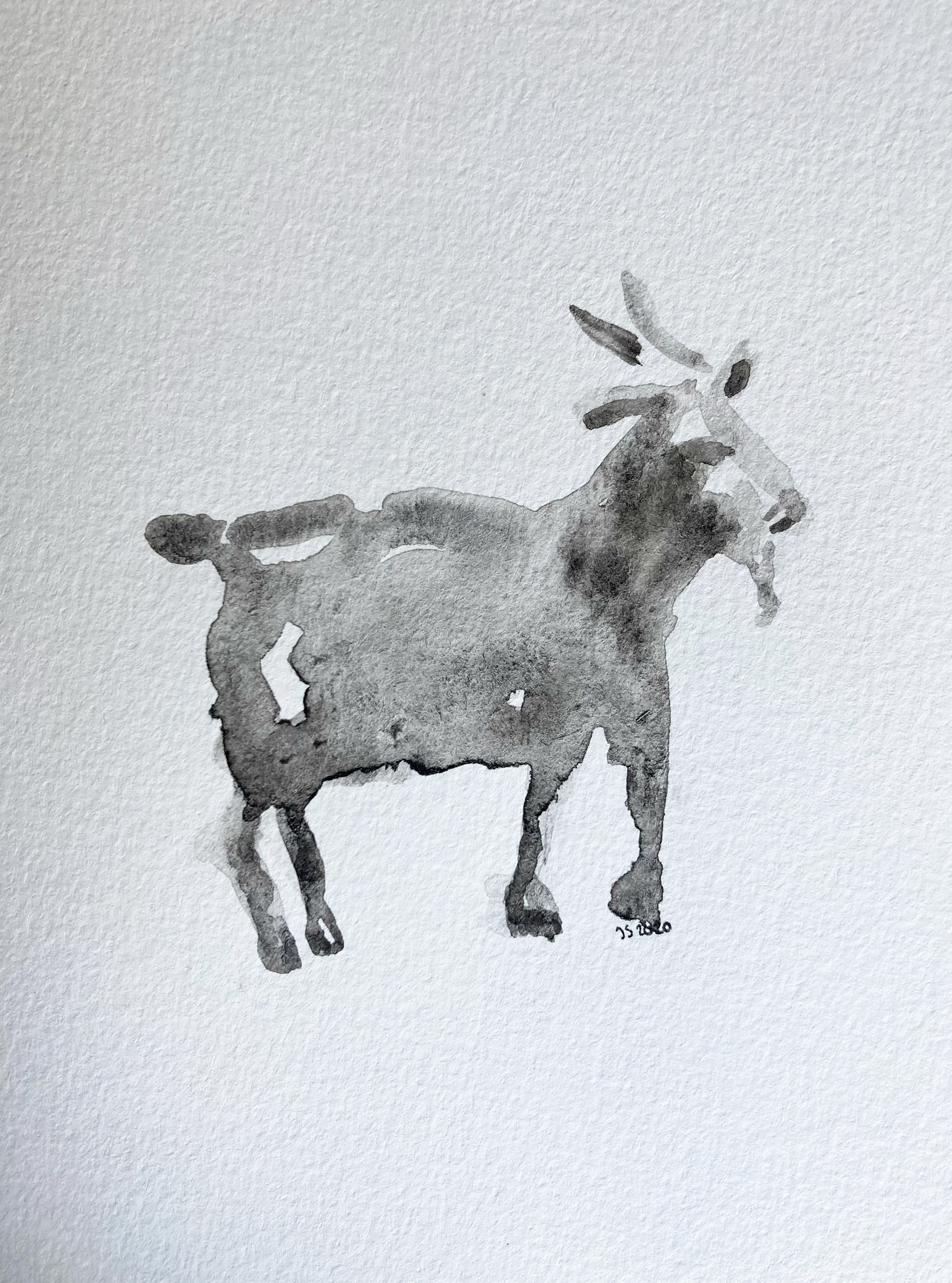 GIFT A GOAT, WATERCOLOUR, 2020
