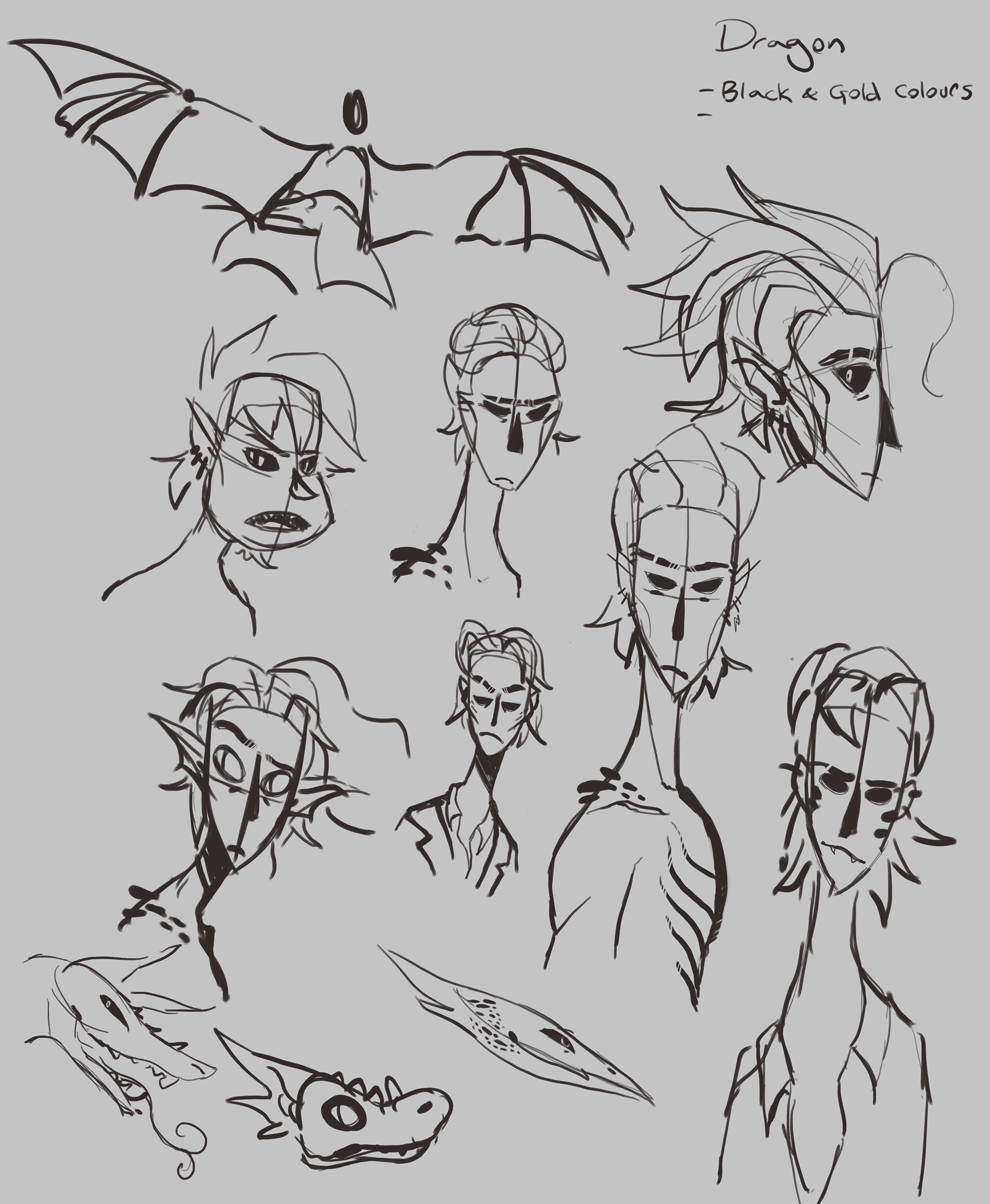 Dragon Early Concepts