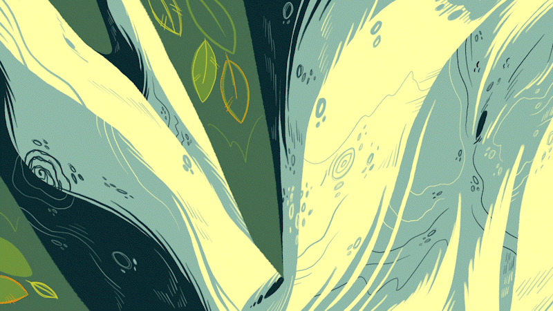 Bird final design, BG and animation