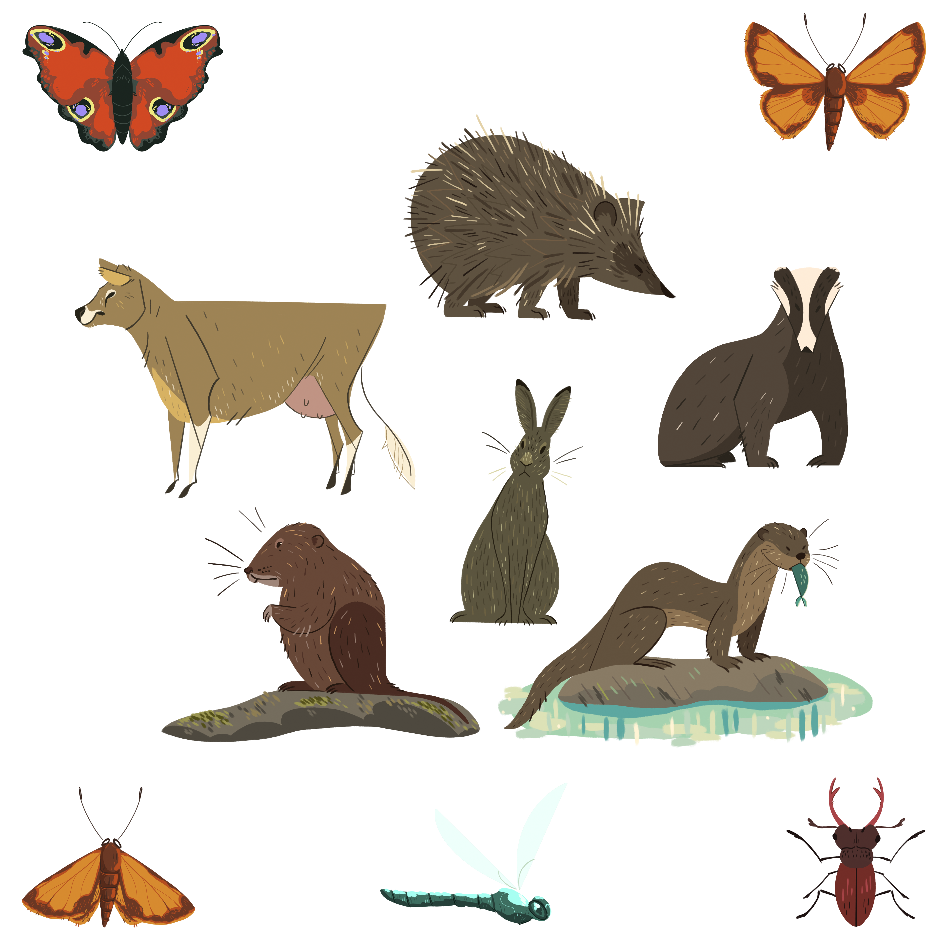 Mammals and Insects