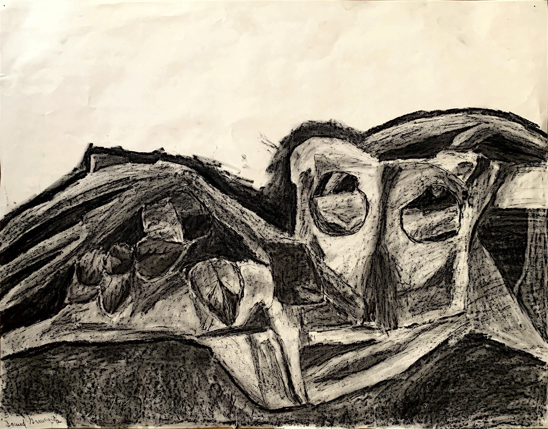 "Bones and Plants" (Charcoal)