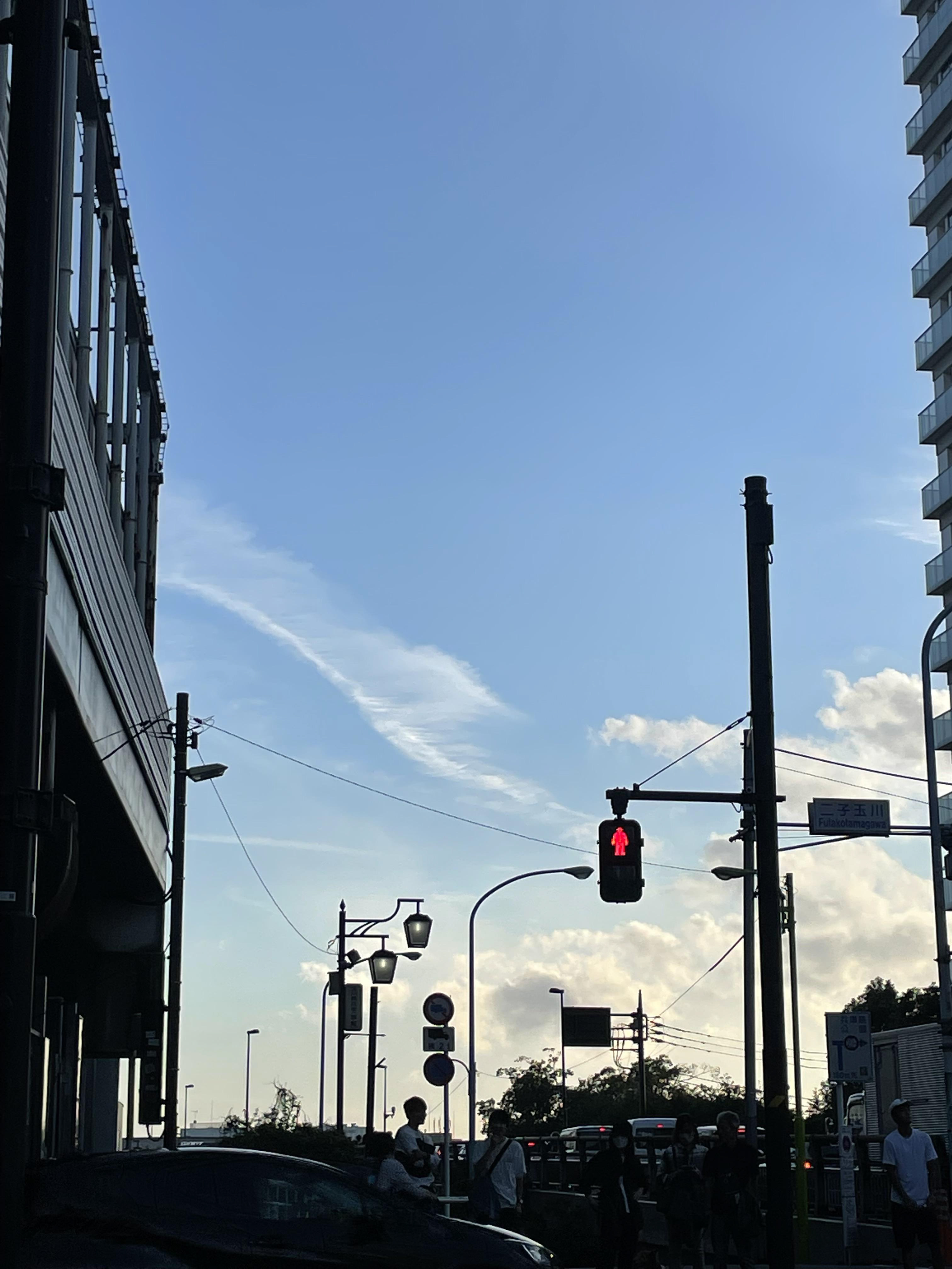 背骨