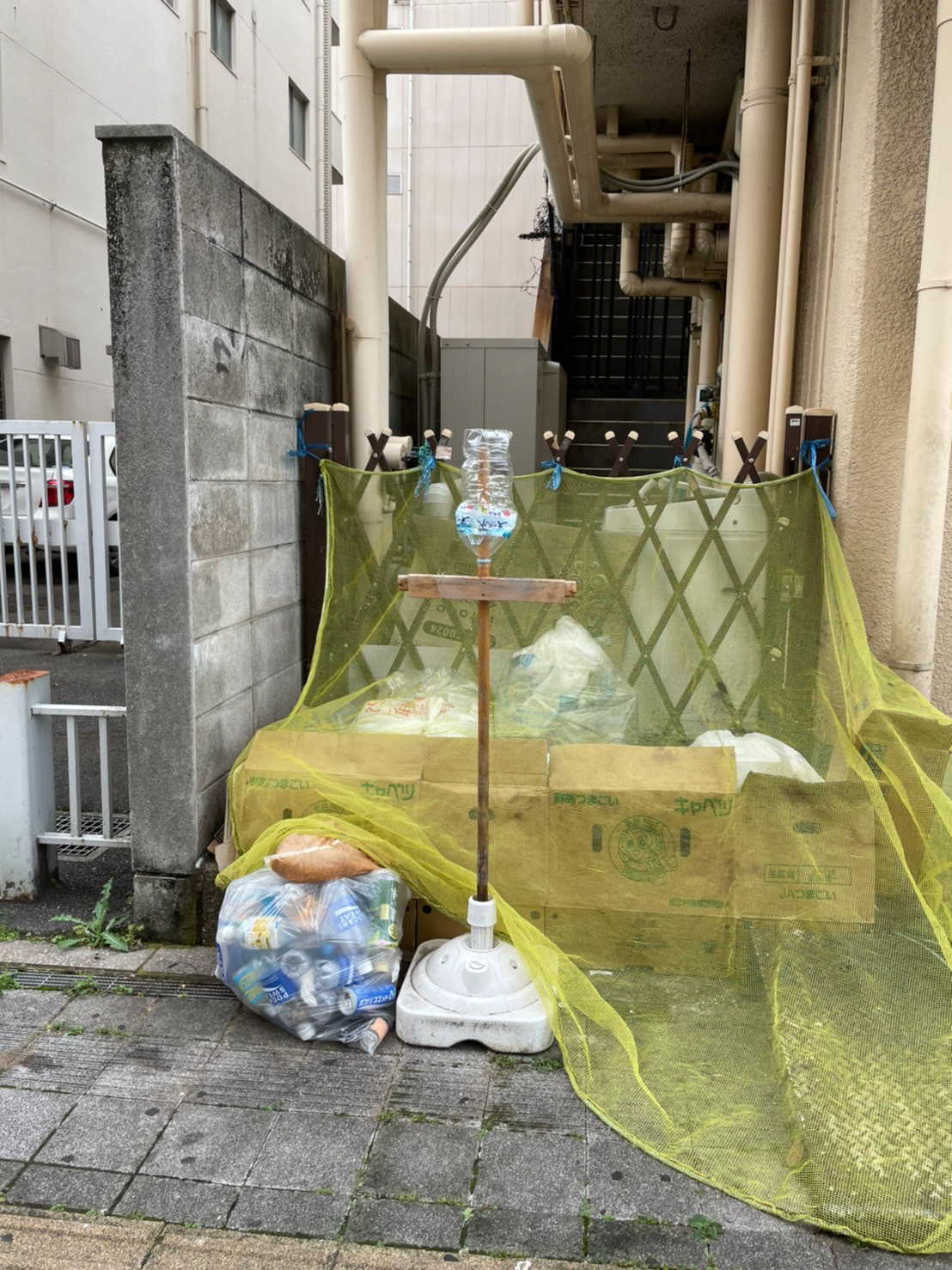 現代的なカカシ