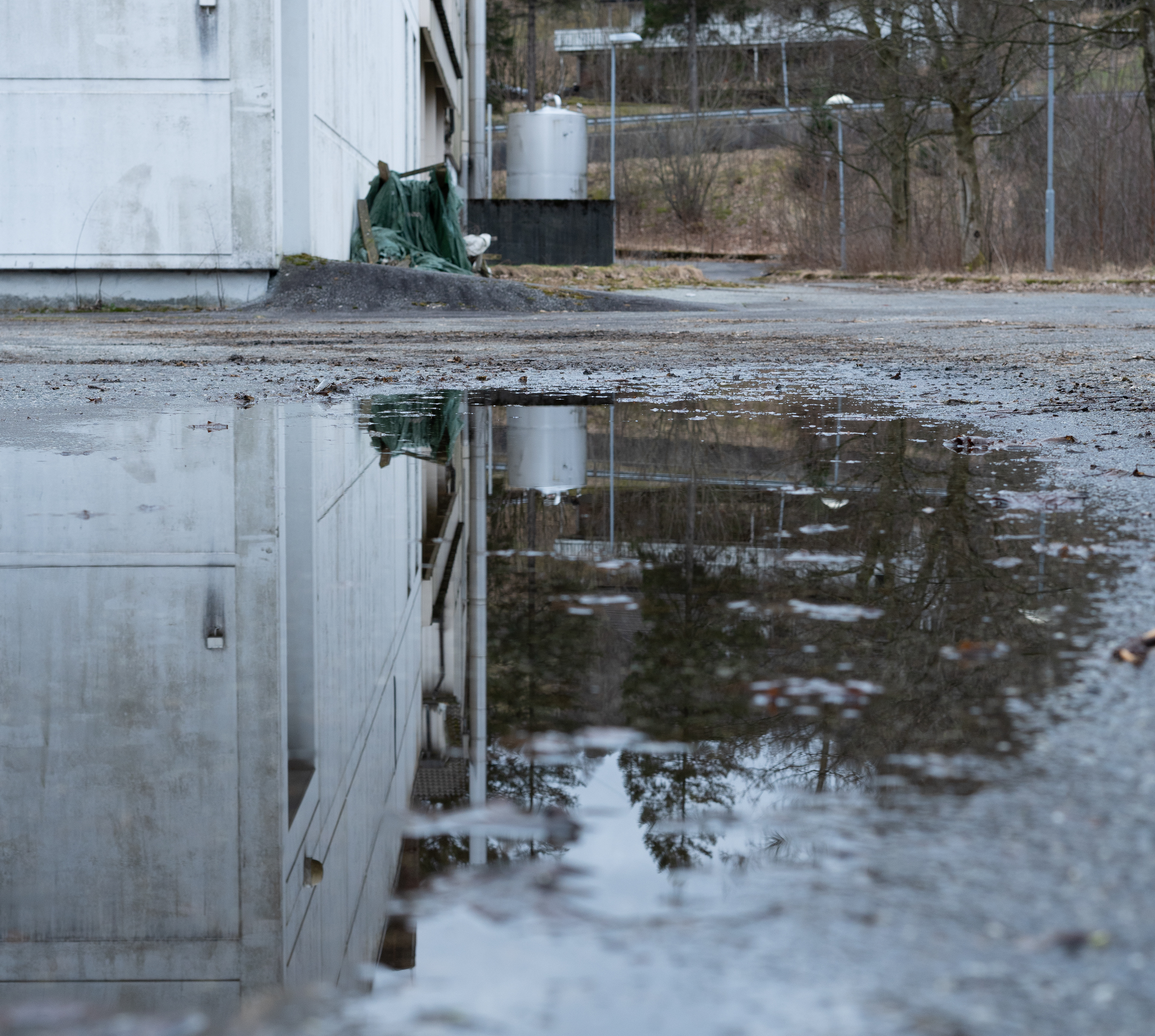 "NEW PERSPECTIVE" | f/7.1 - 1/160 - ISO 500
