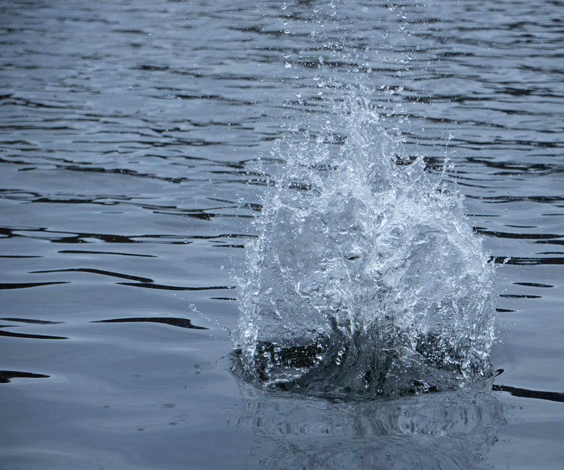 "FREEZE MOVEMENT" | f/5 - 1/800 - ISO 500