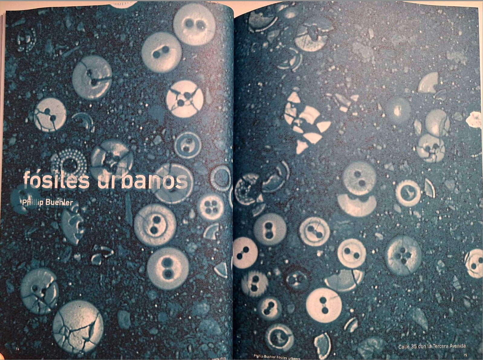 Phillip Buehler. Fósiles urbanos