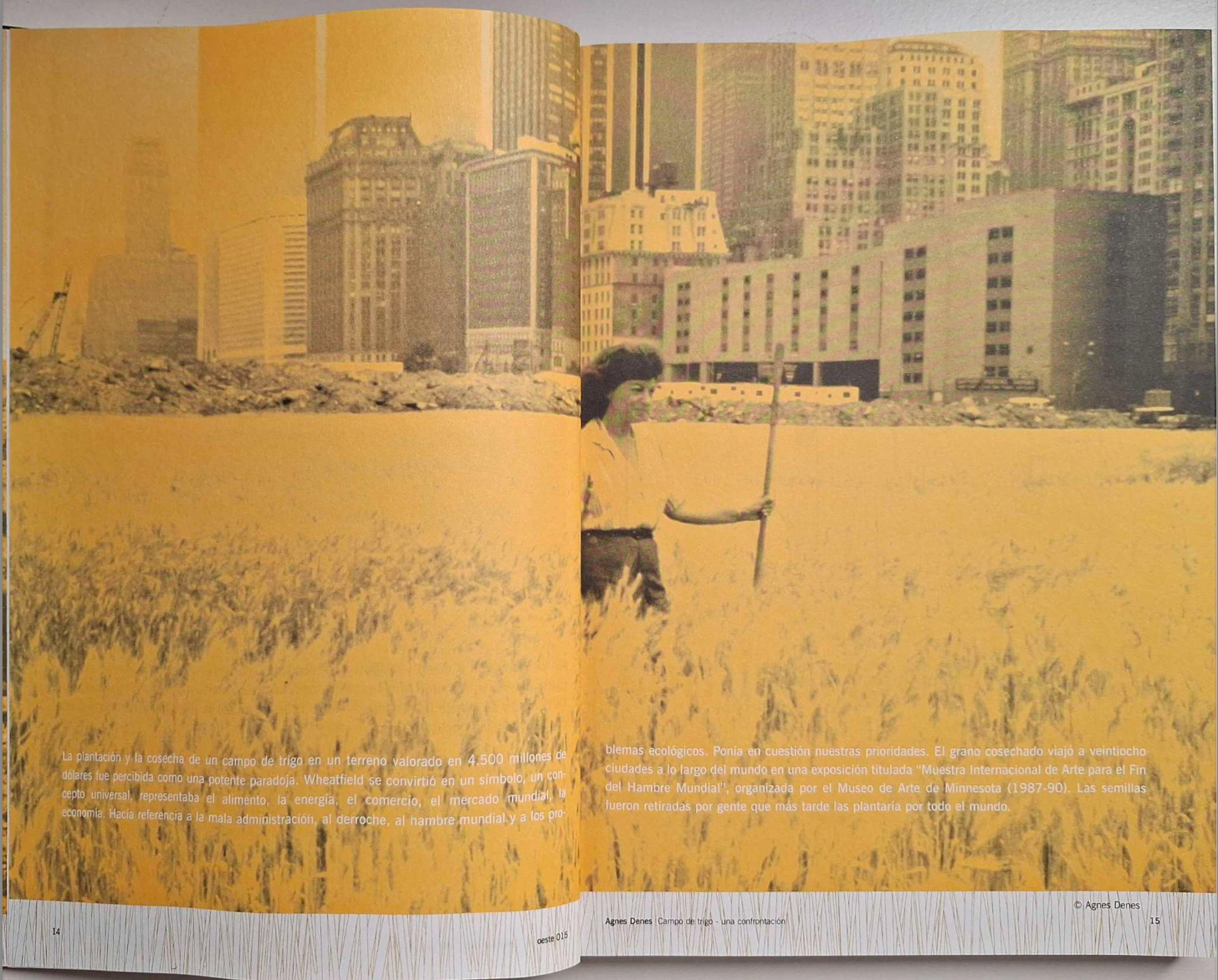 Agnes Denes. Campo de Trigo