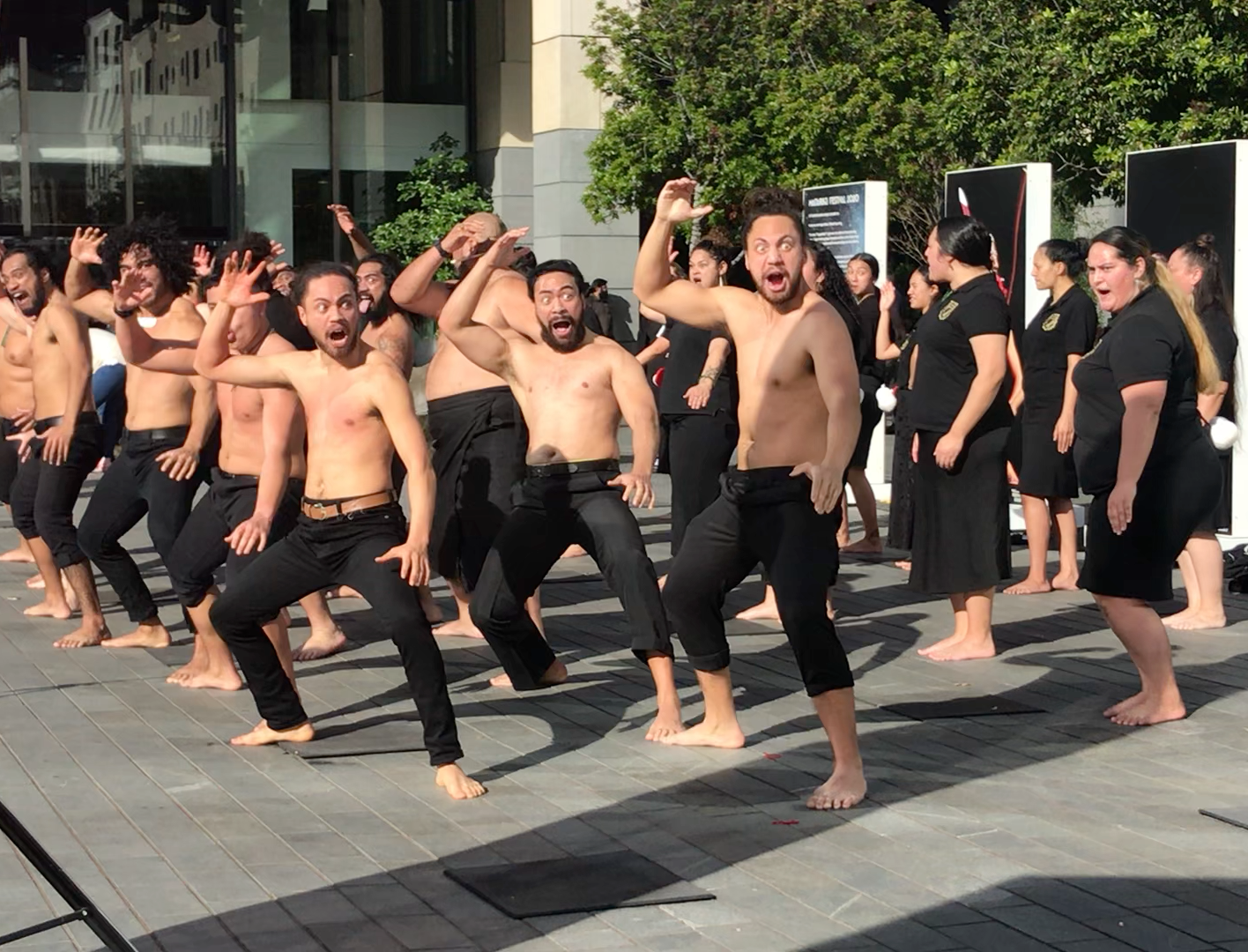 Maori Haka