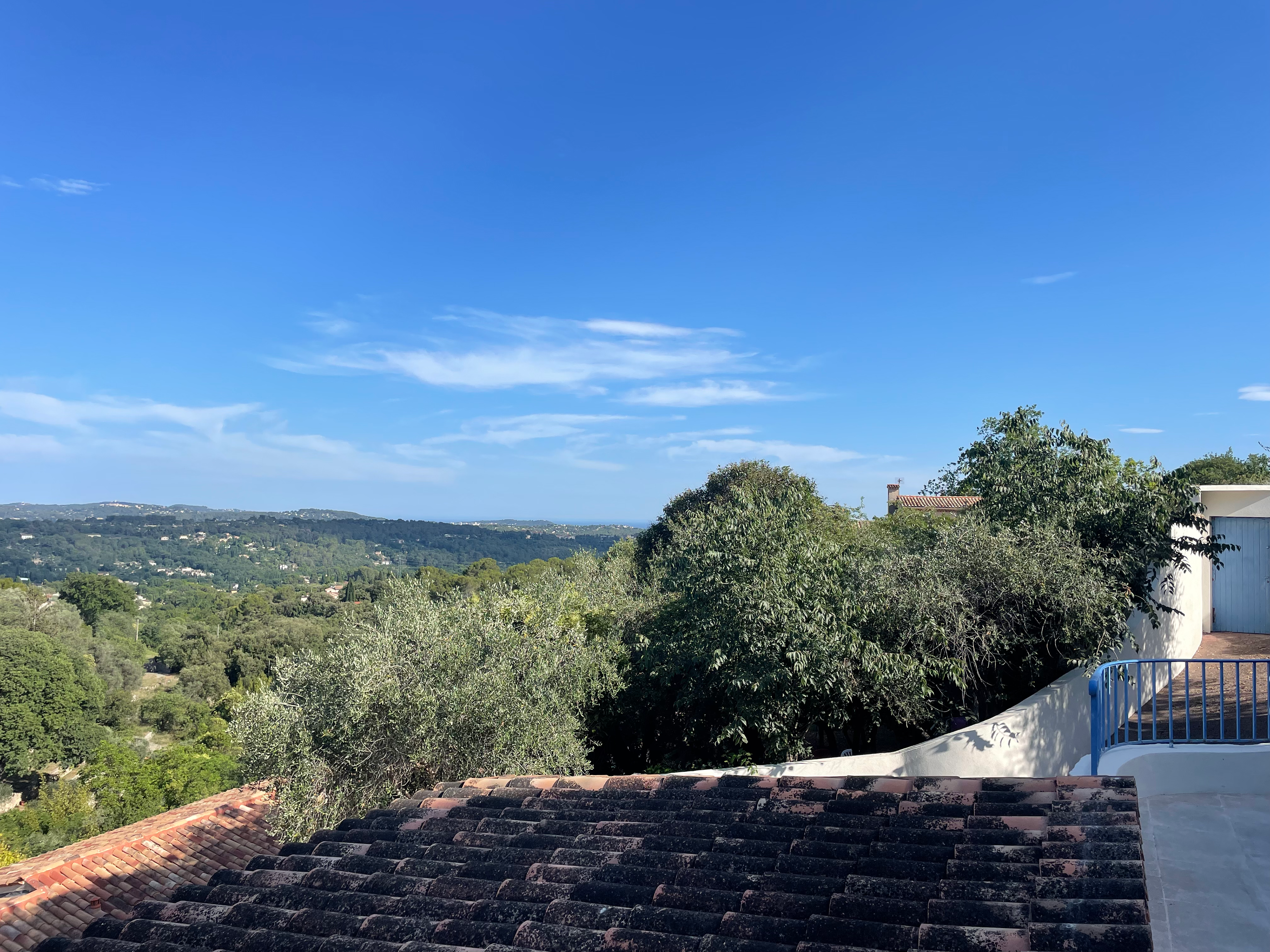 the view