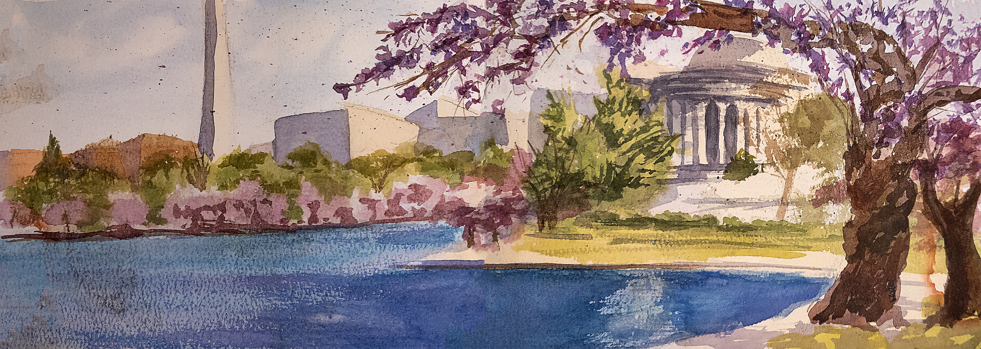 Cherry Blossoms -Over Jefferson