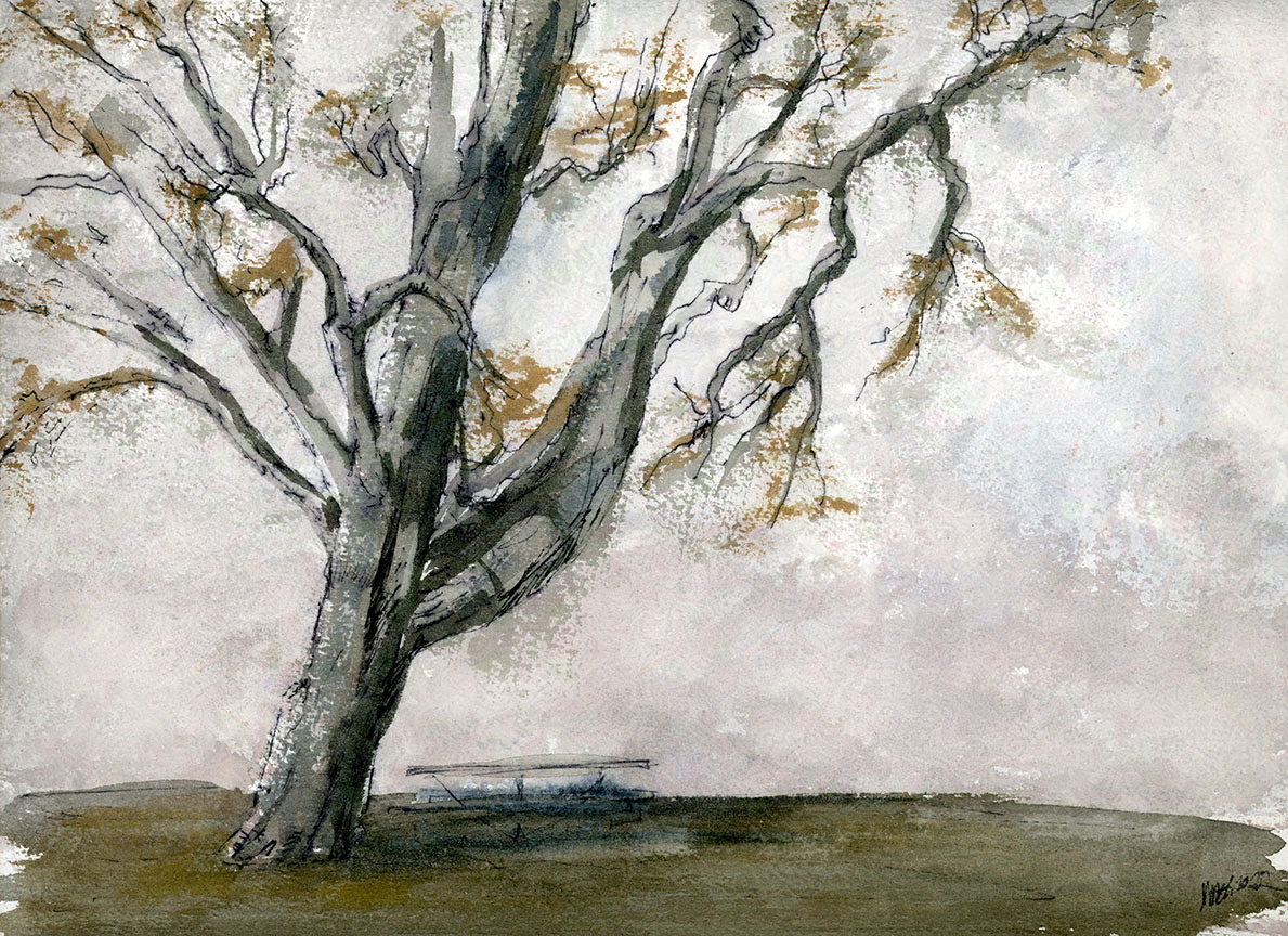 Misty Tree