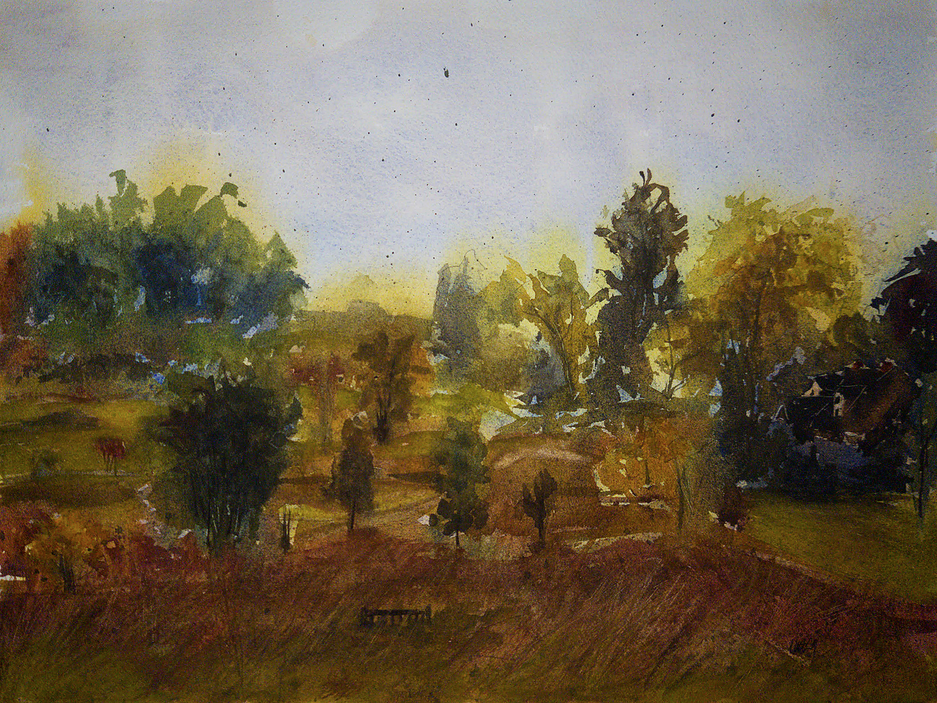 Mourning Meadows