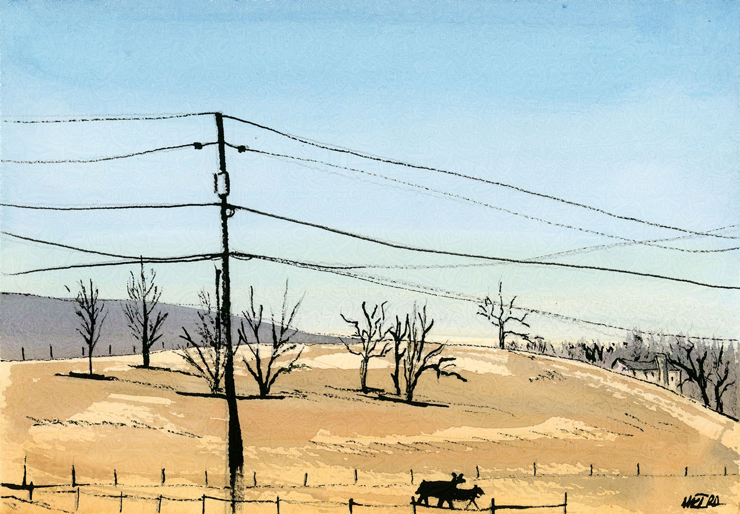 Winter Pastures