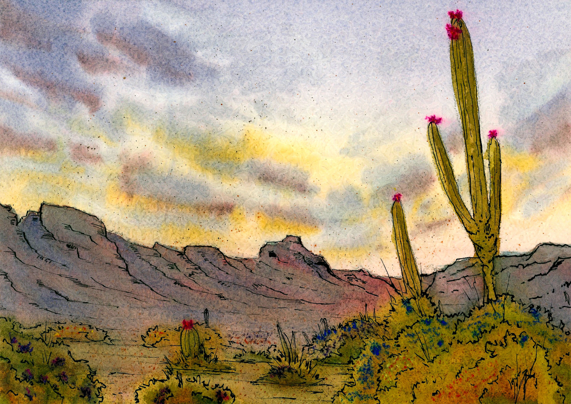 Desert Sunset