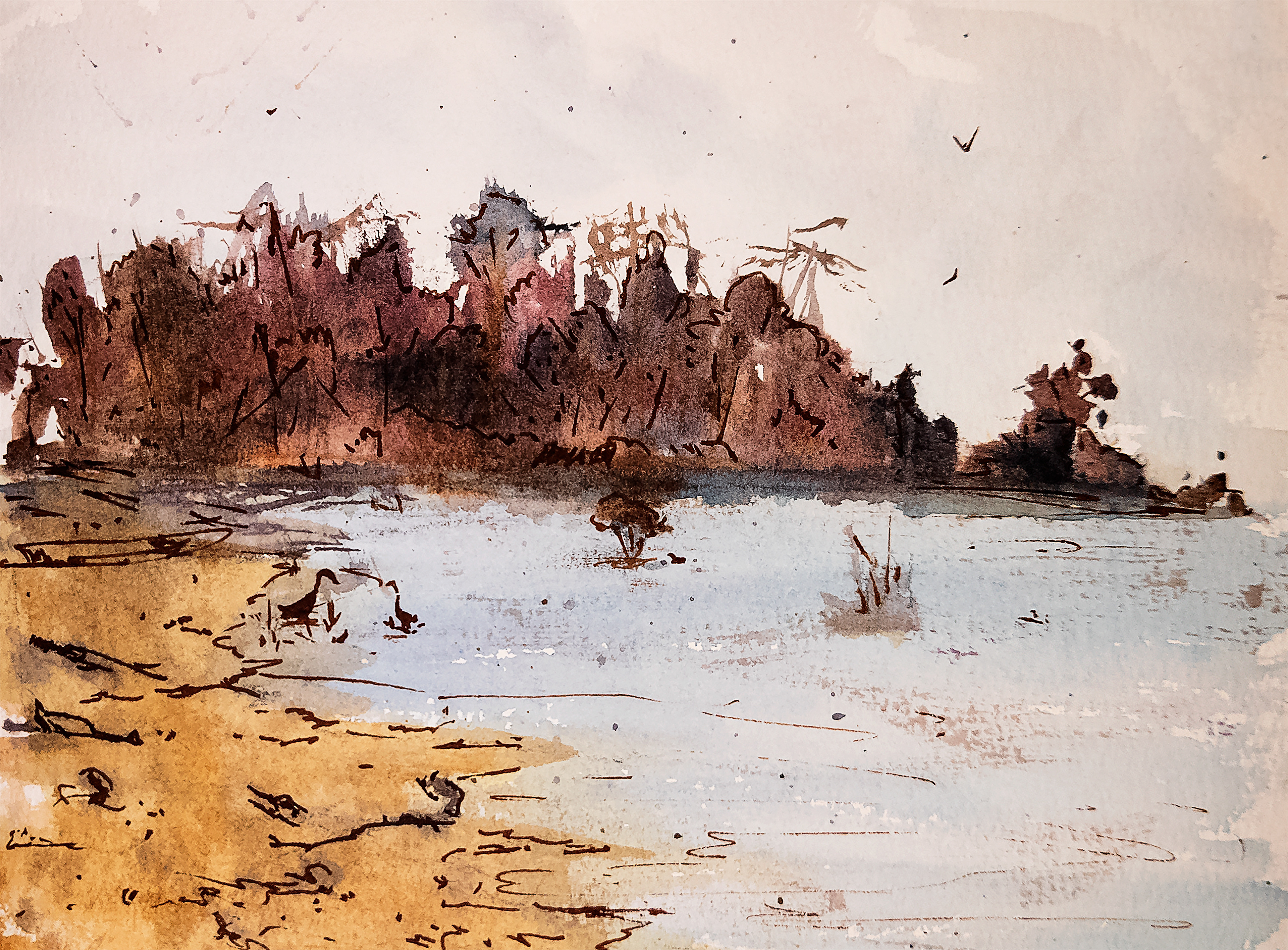 Mason Neck Shoreline