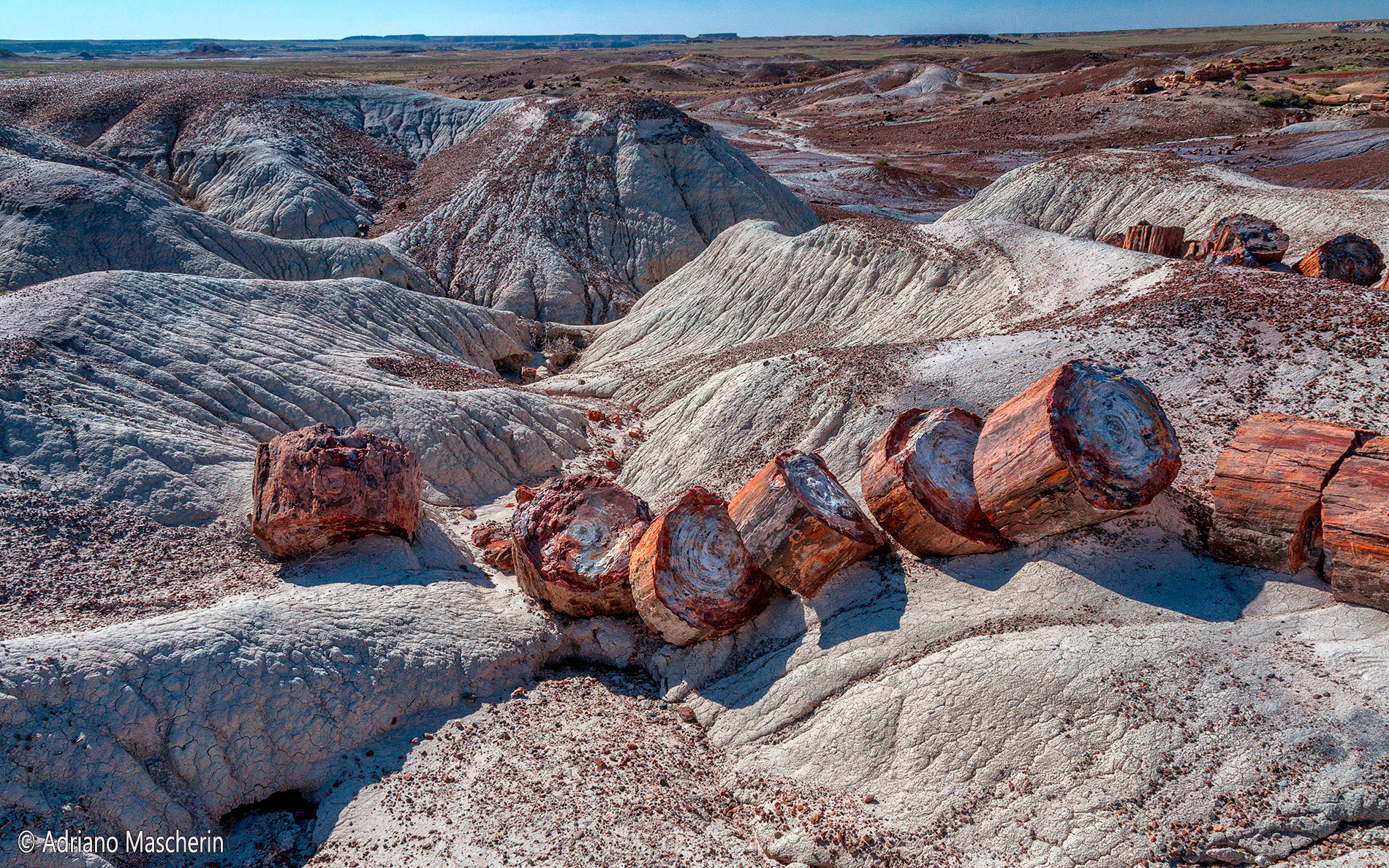 Crystal Forest - Petrified Forest NP