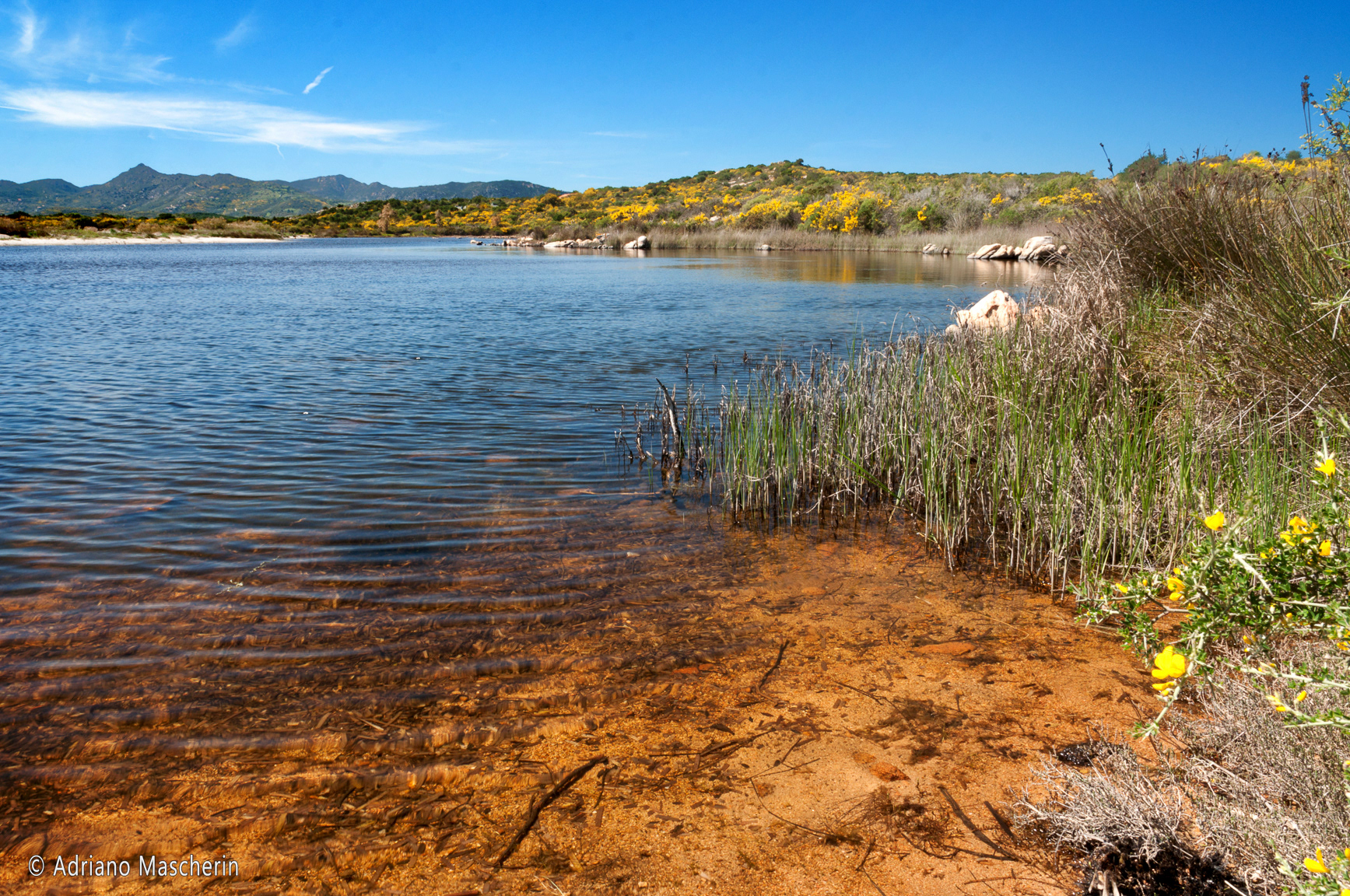 San Teodoro - Stagno di Cala Brandinchi