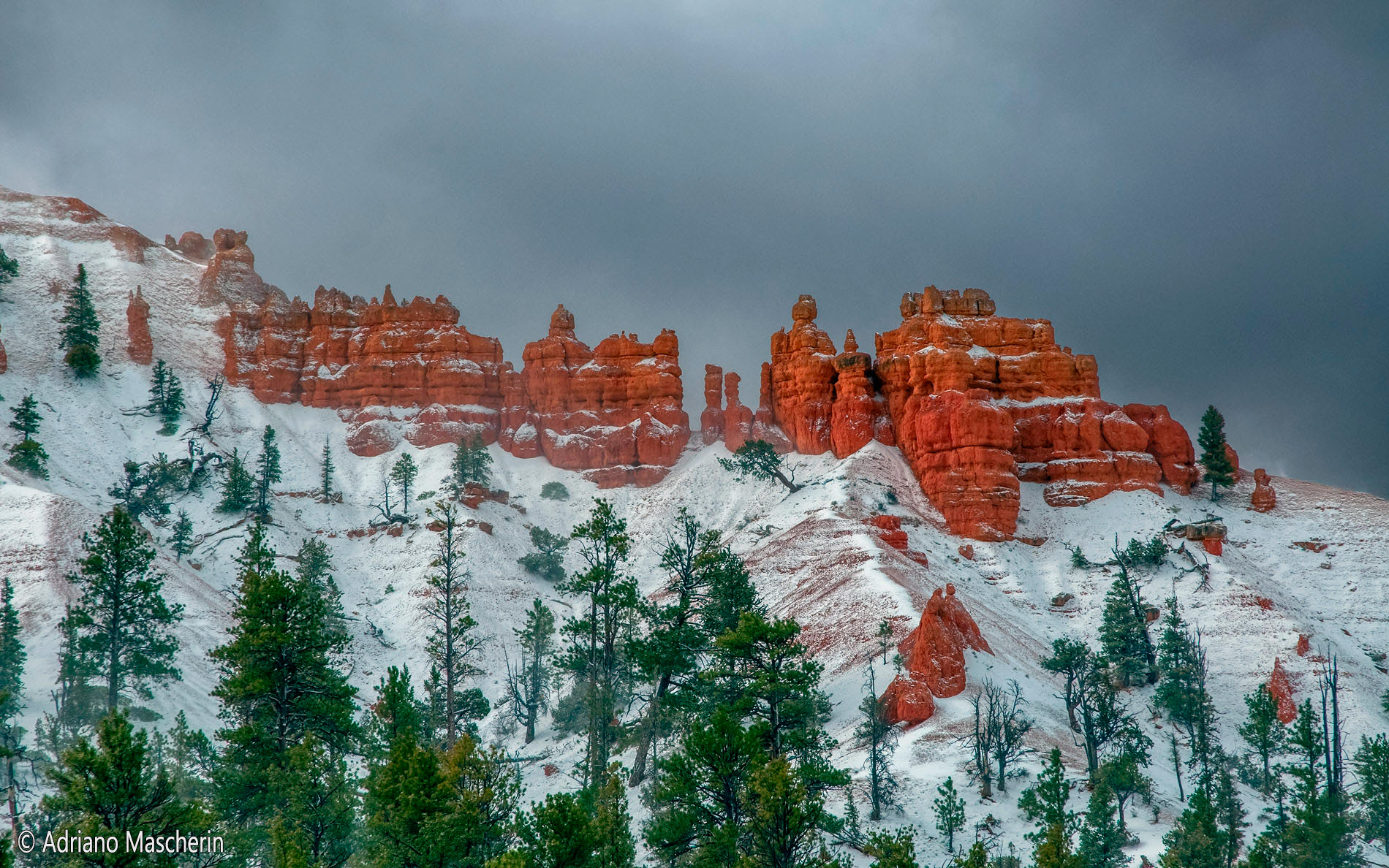 Neve fresca nel Red Canyon - Fresh snow in the Red Canyon