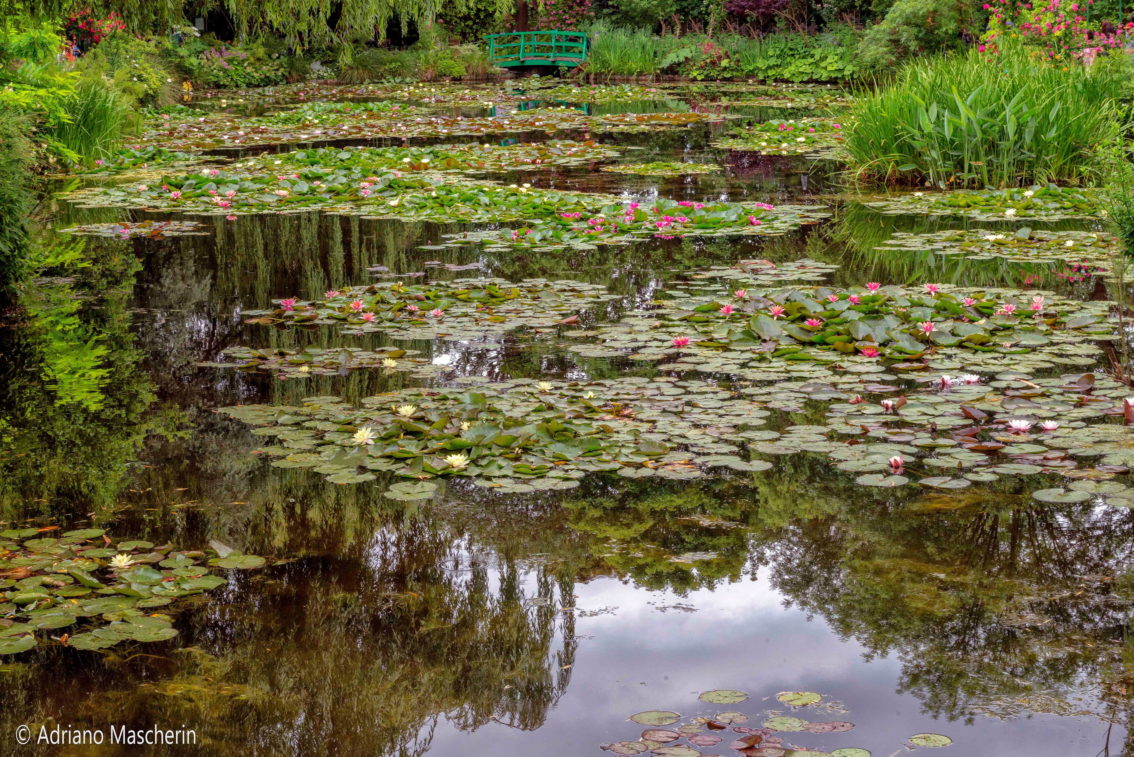 Giverny
