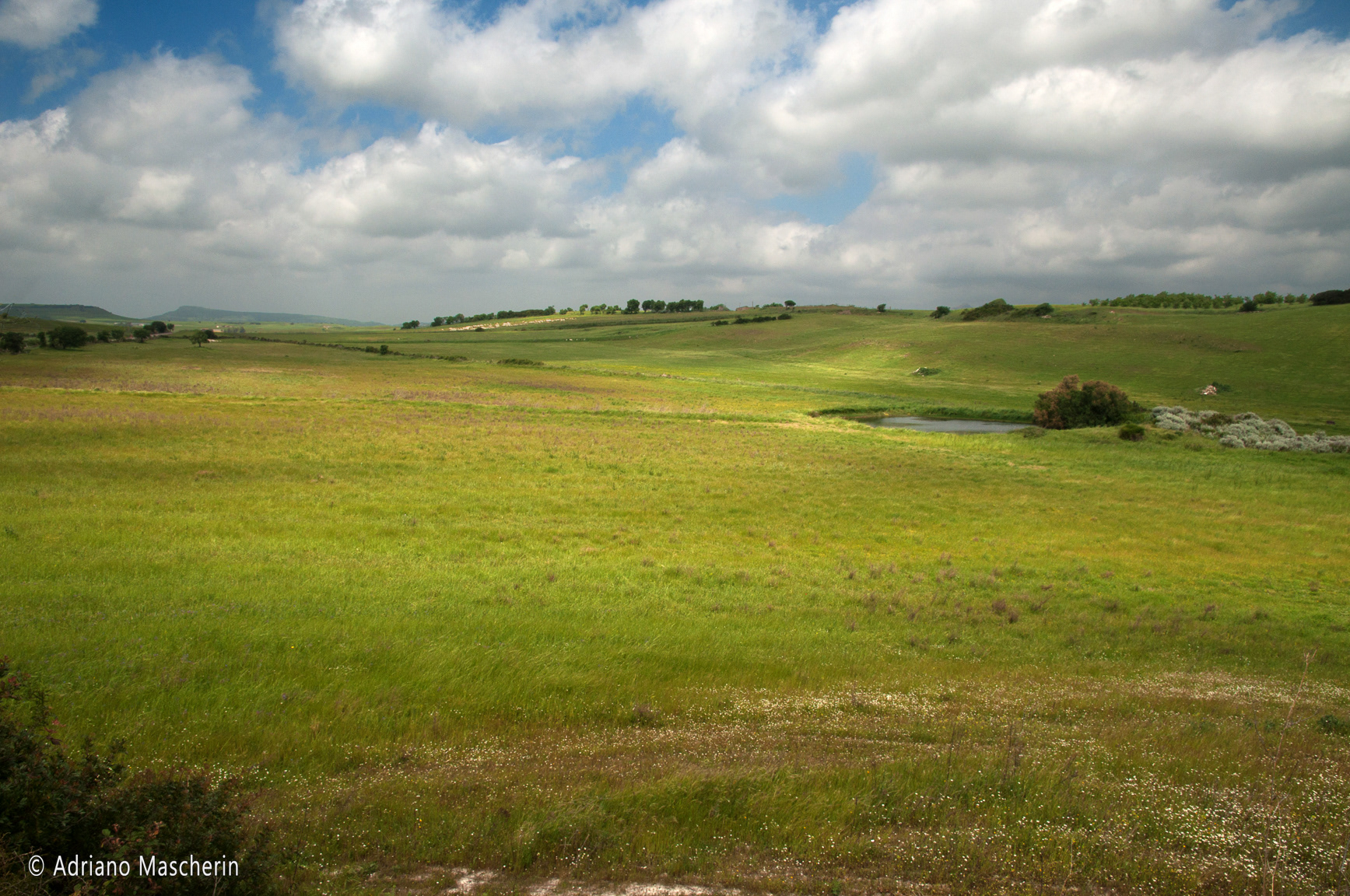 Bulzi - Prati fioriti - Flowering meadows