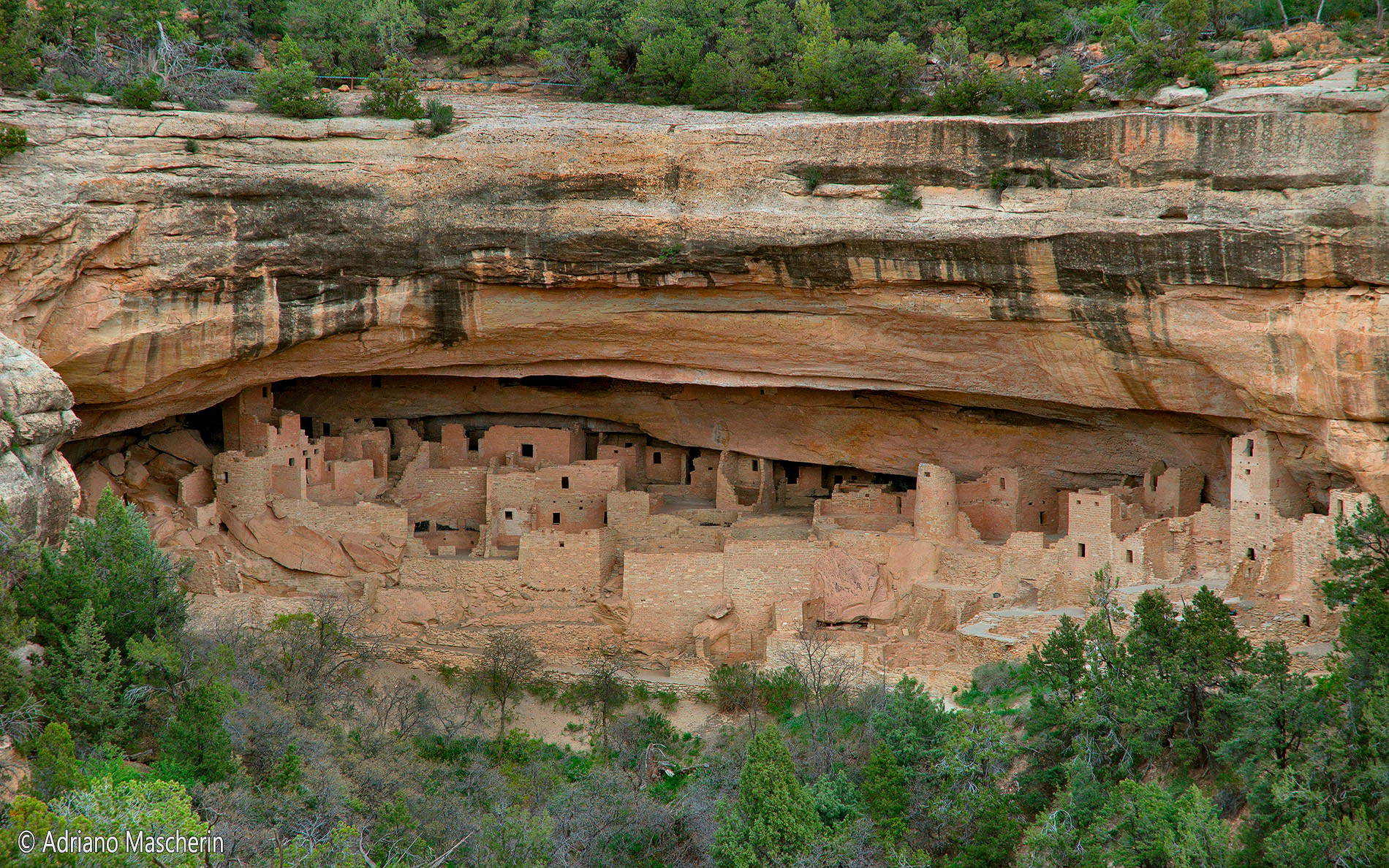 Cliff Palace - Mesa Verde NP