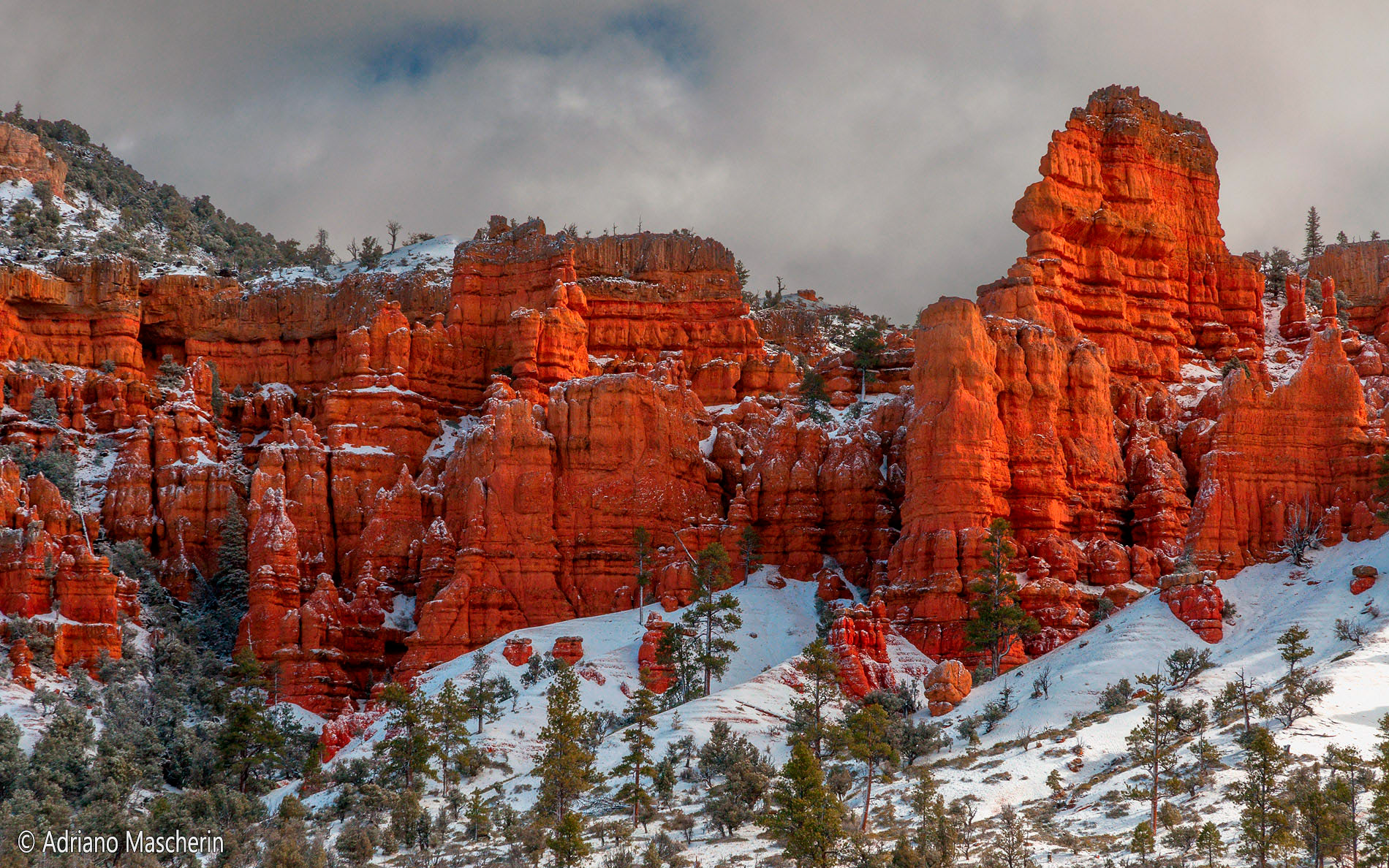 Red Canyon