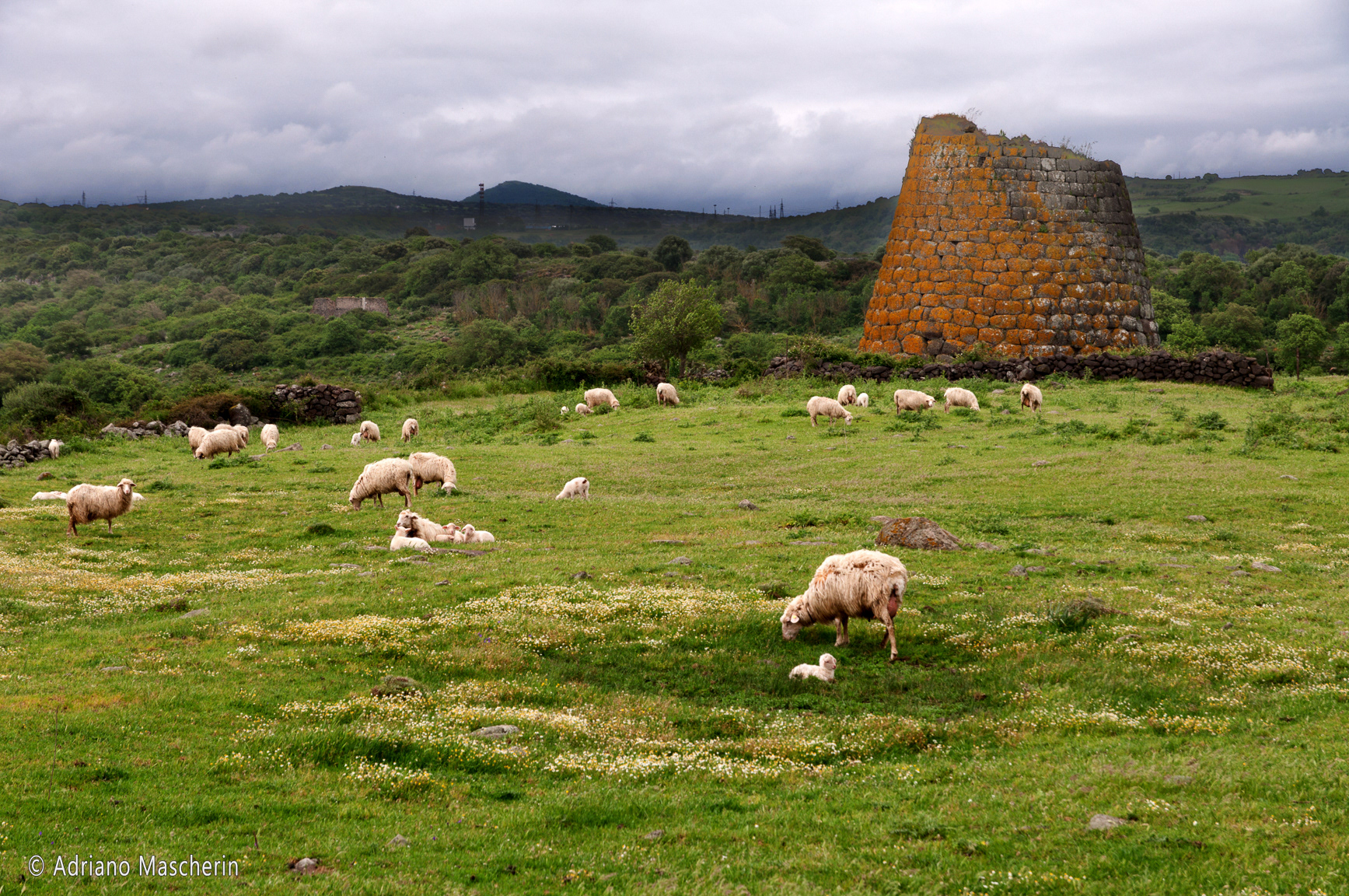 Codrongianus - Nuraghe Nieddu