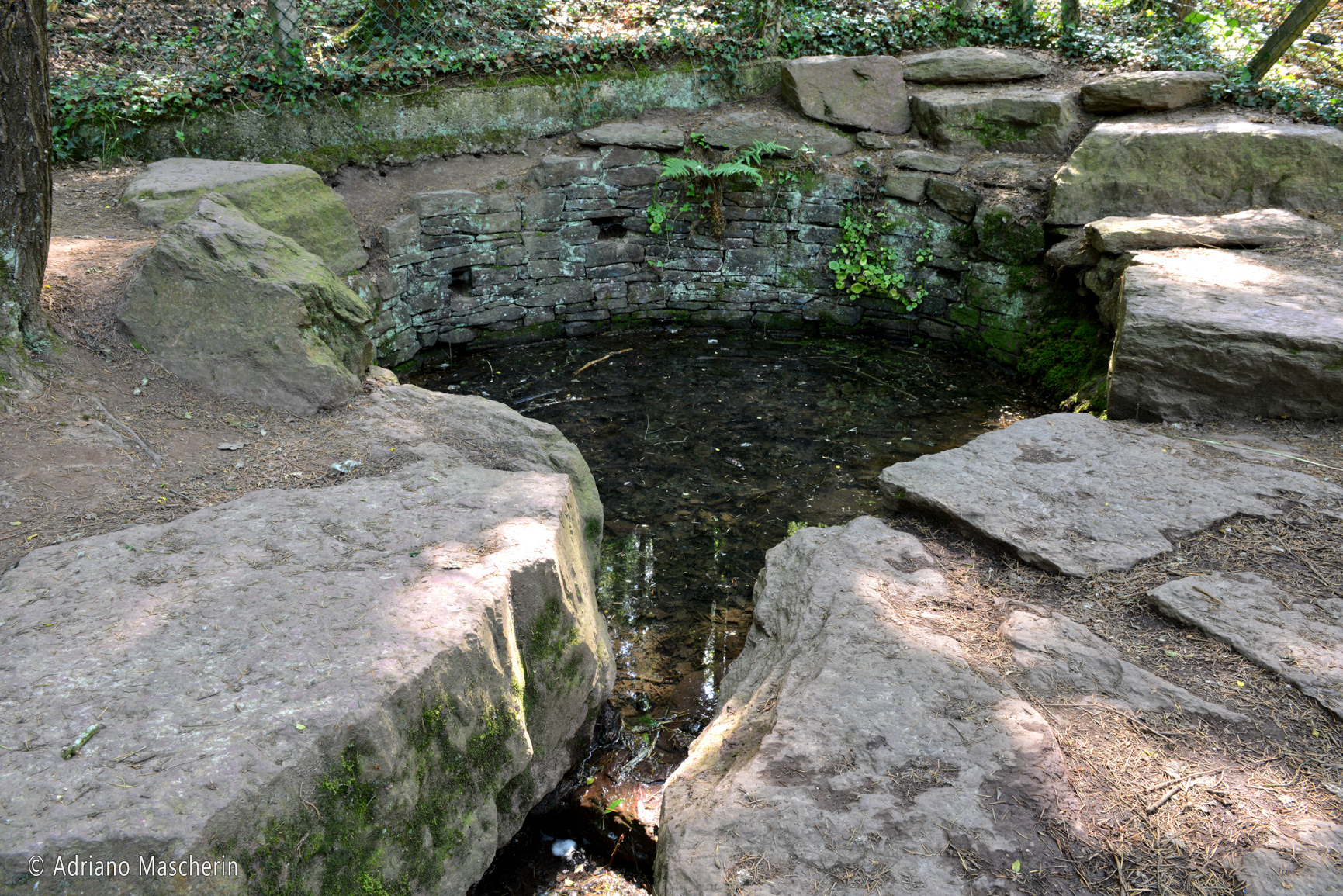 Paimpont - Fontana de la Jouvence