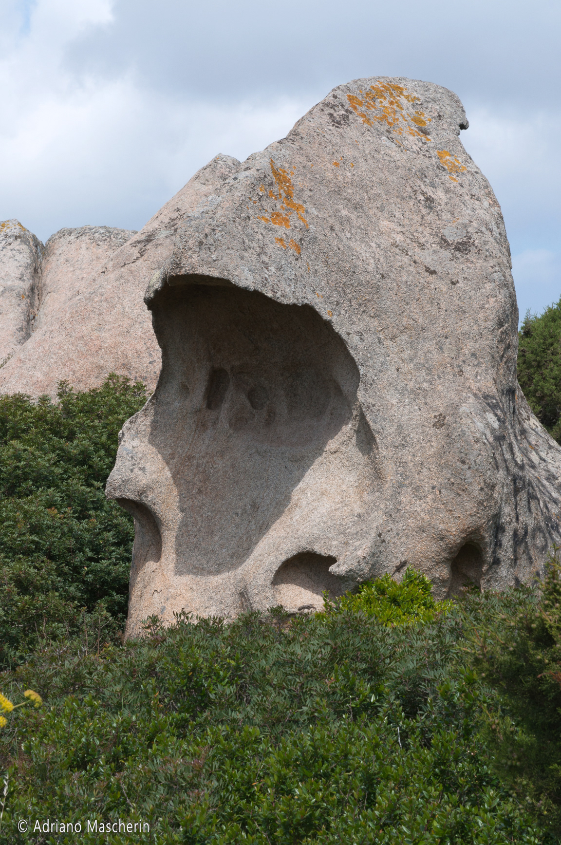 Maddalena Giardinelli - Il teschio - The skull
