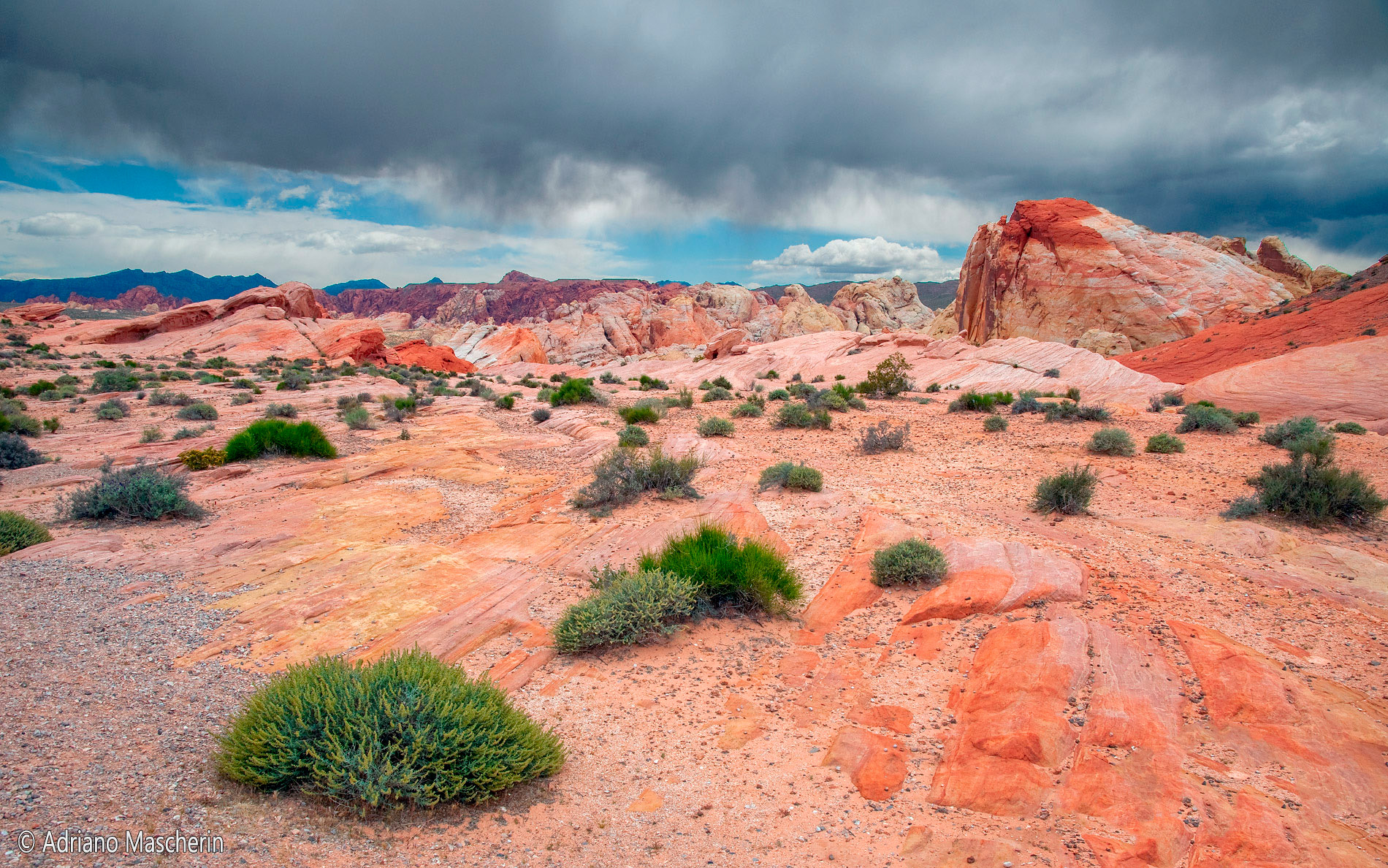 White Dome - Valley of Fire