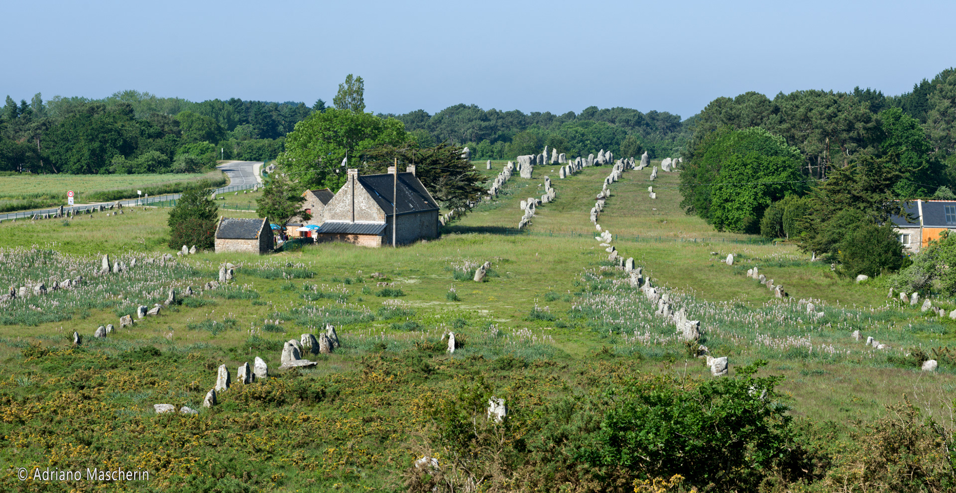 Carnac - Alignement de Kemario