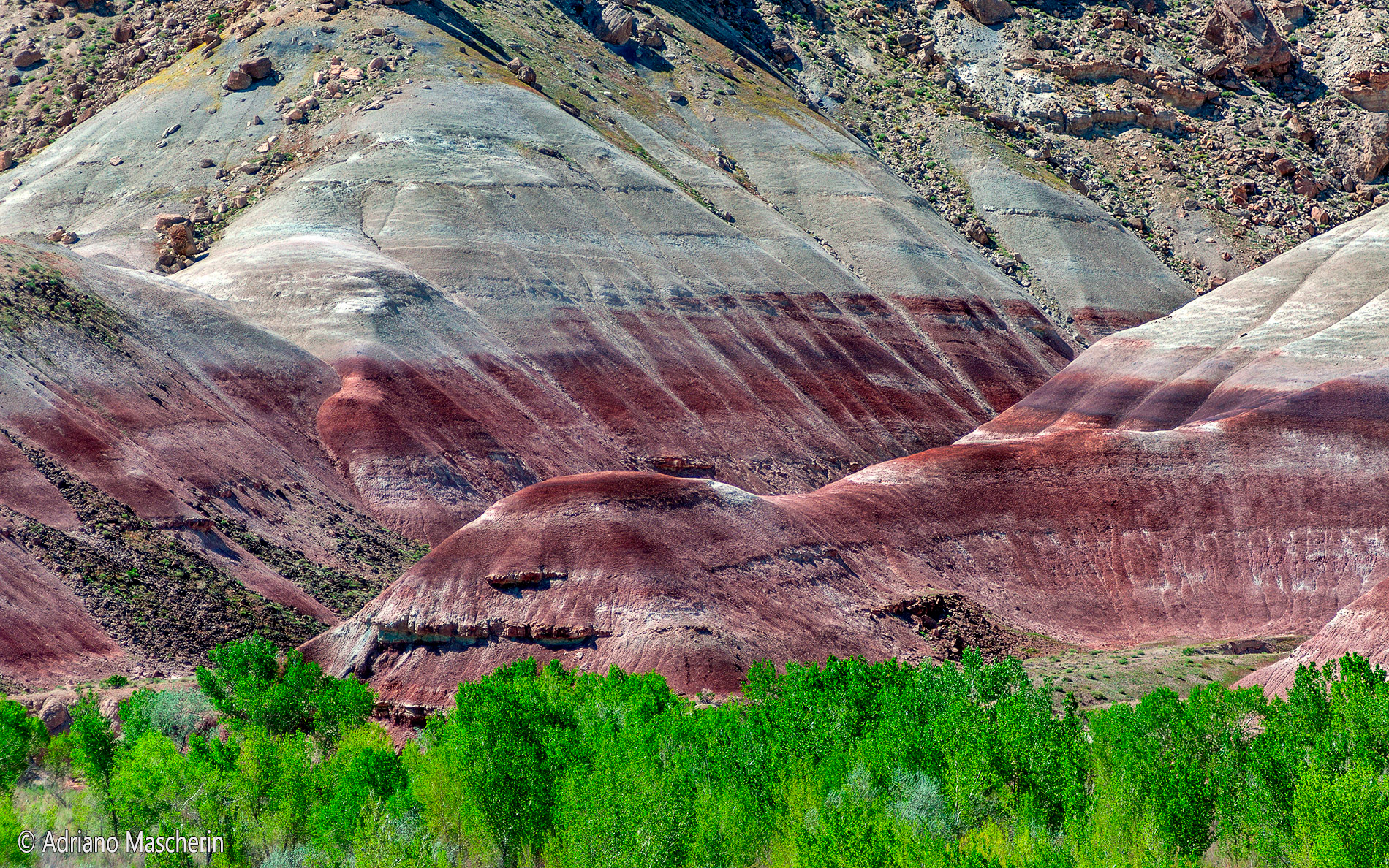 Bentonite Hills - Capitol Reef NP