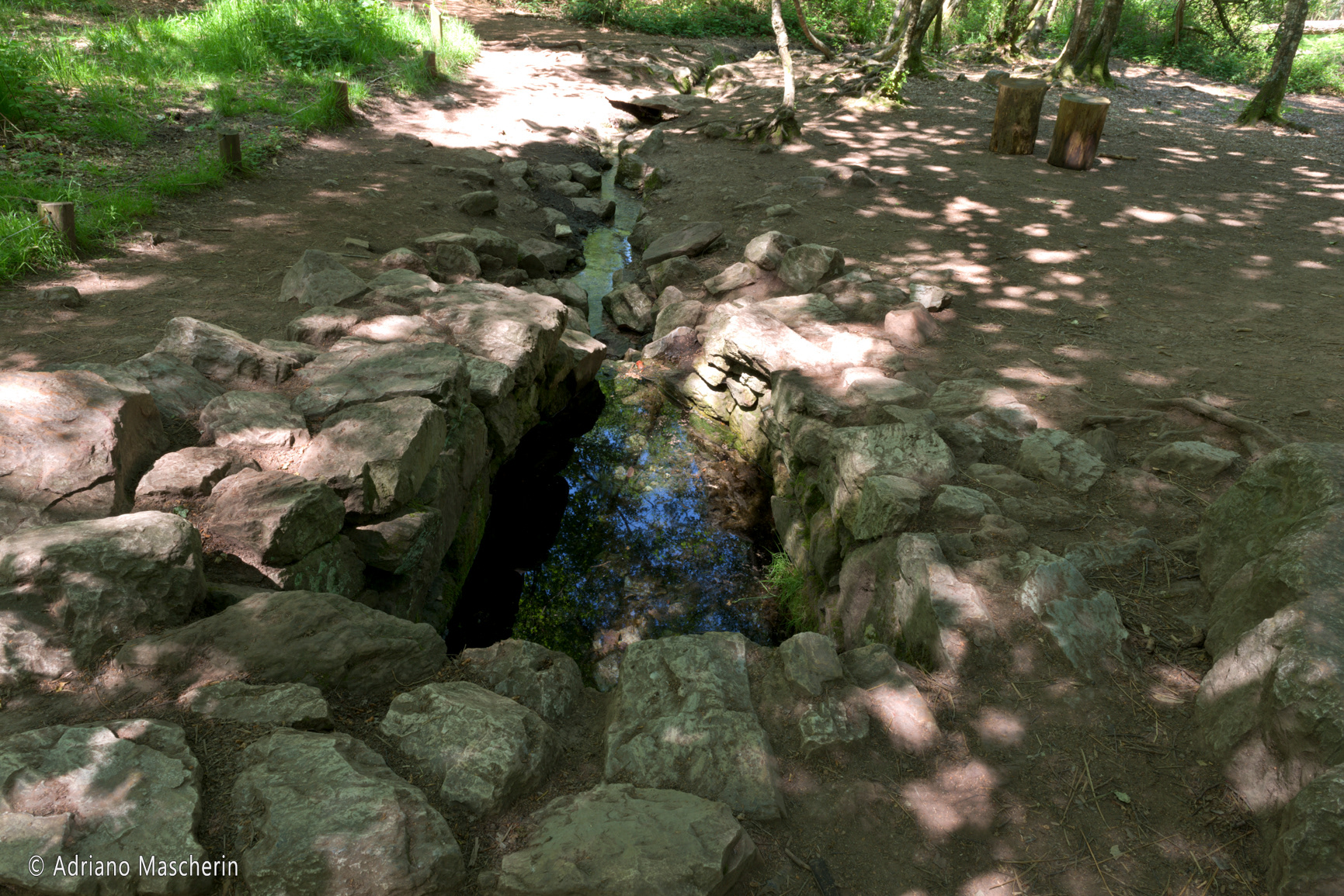 Paimpont - Fontana di Barenton