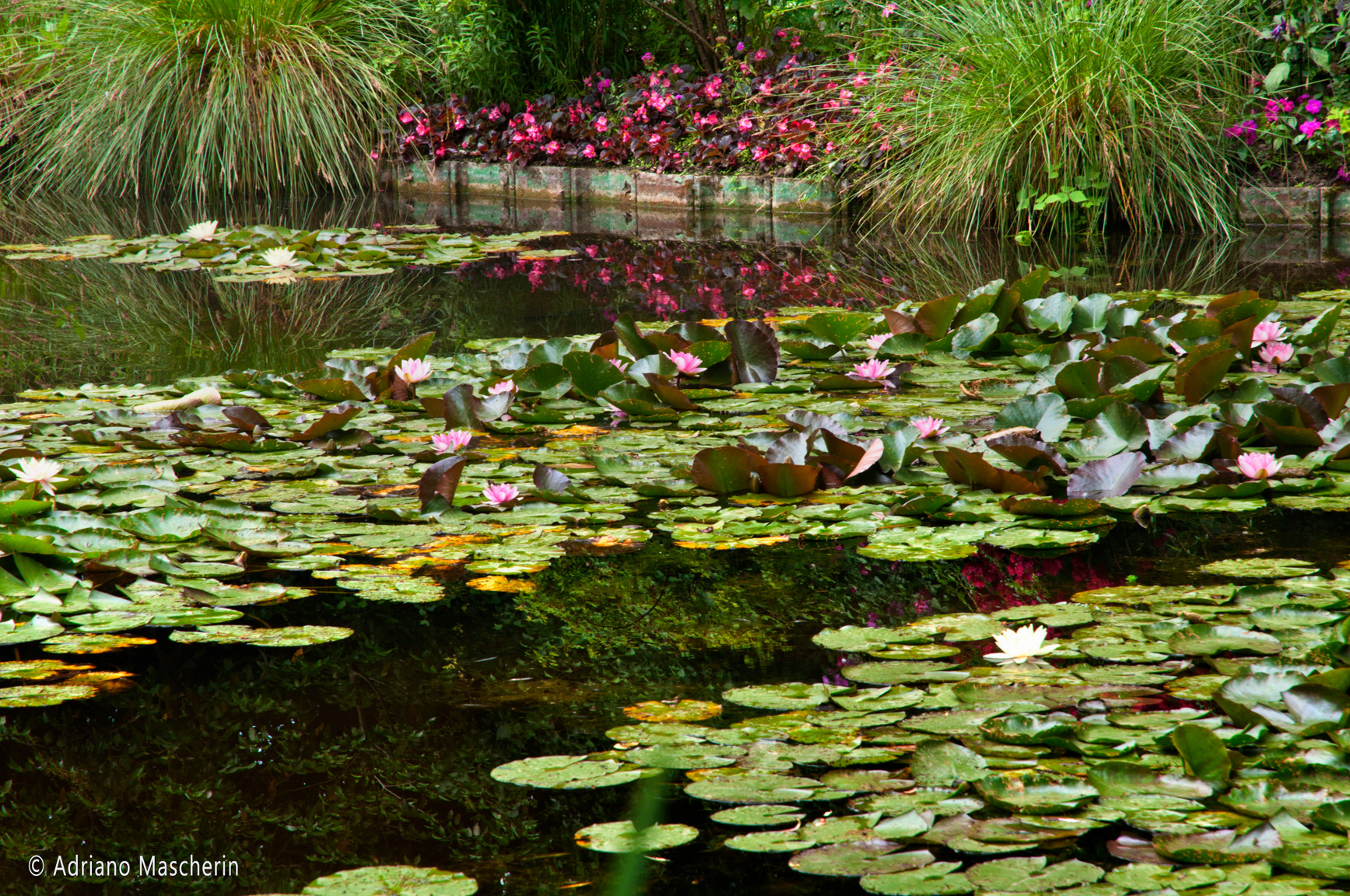 Giverny