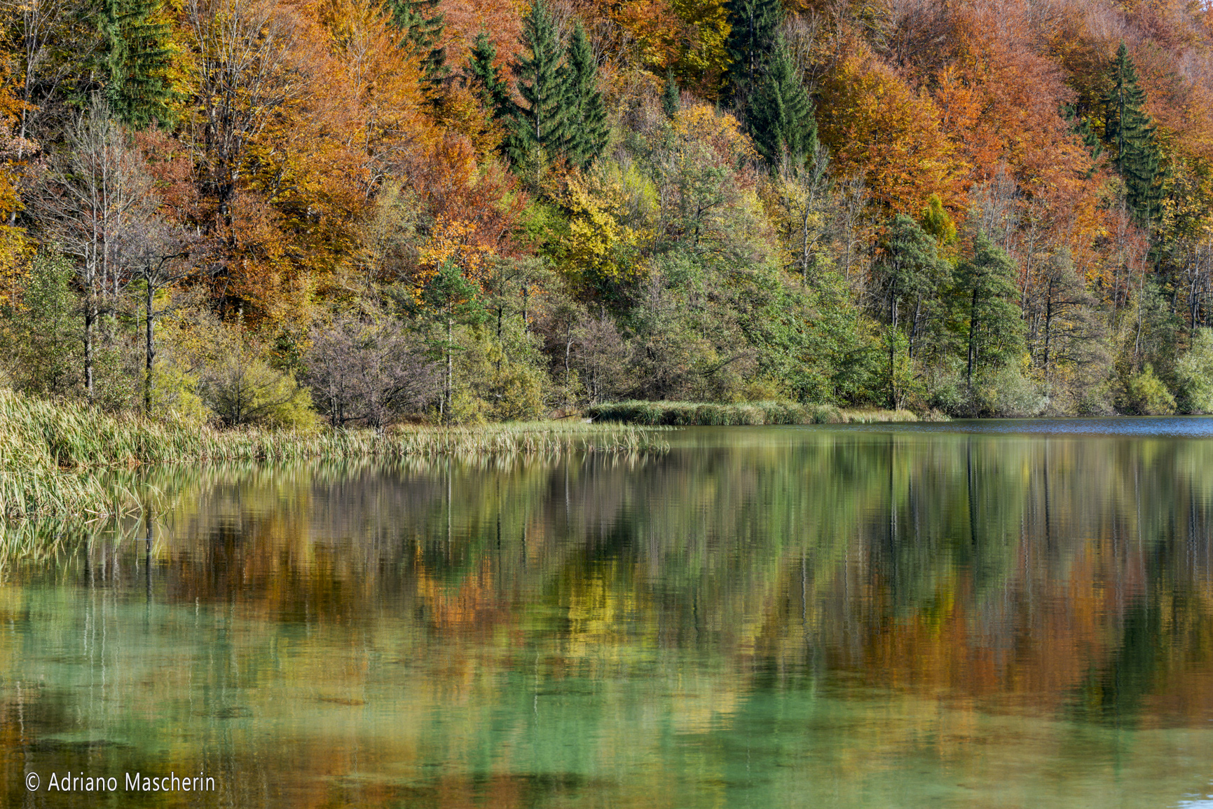 Lago Proscansko - Proscansko lake