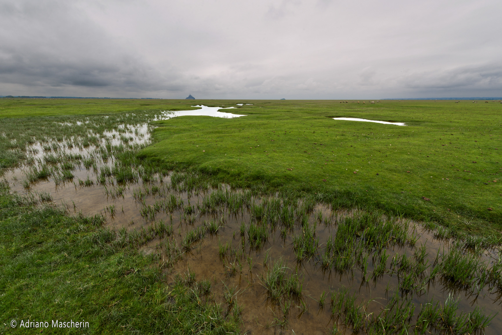 Mont St. Michel - dai prati verdi - from green meadows