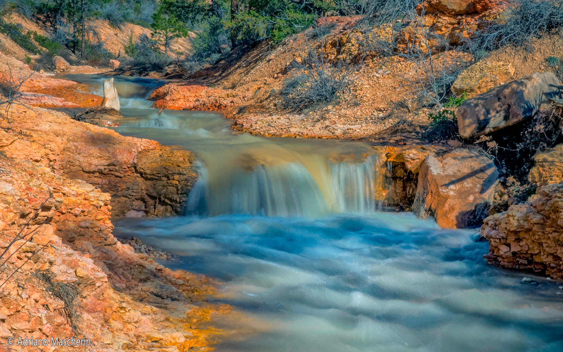 Ditch Mossy Cave - Tropic